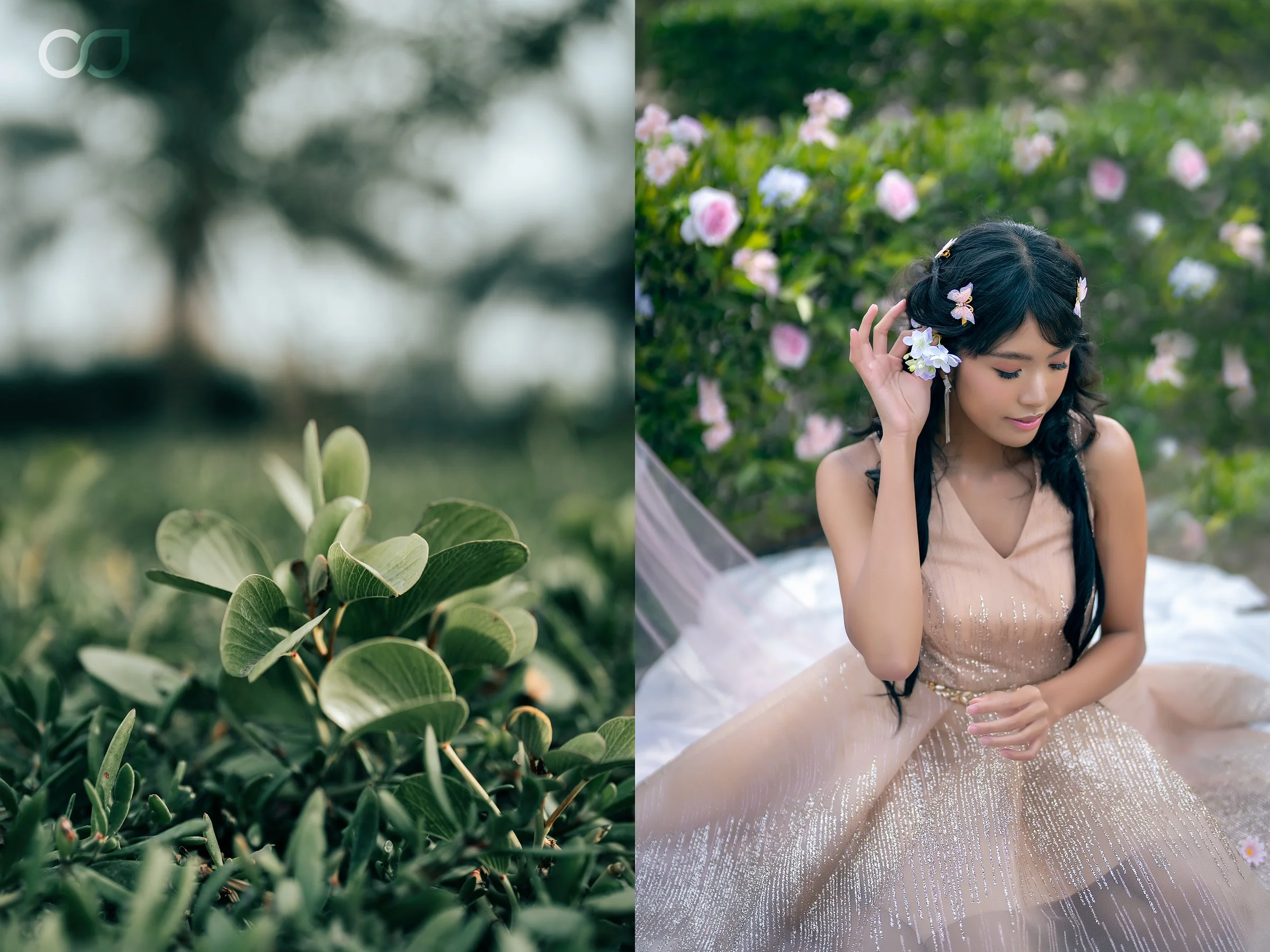 Ashley’s : Pre Debut