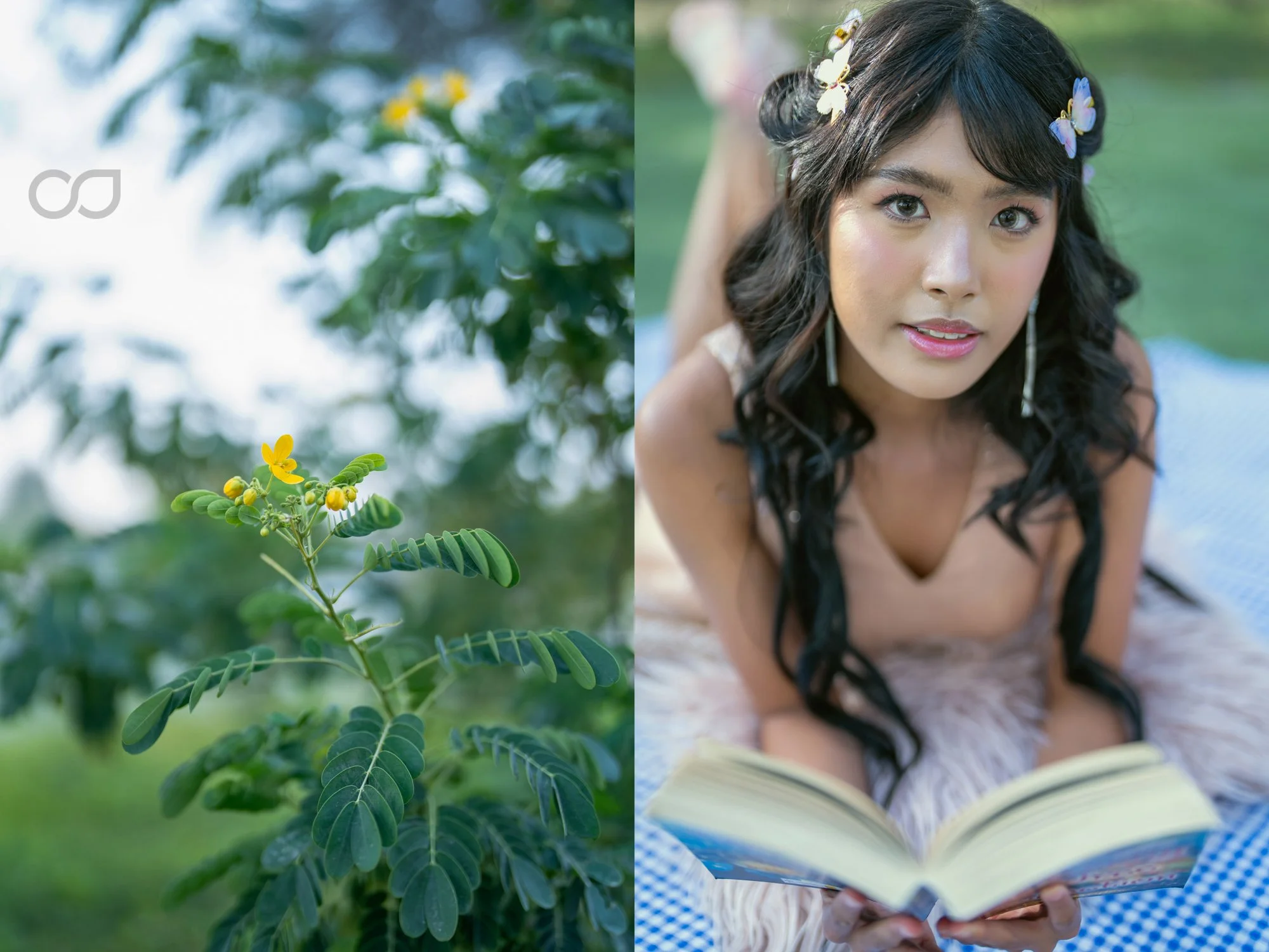 Ashley's Pre-Debut_FB_02.jpg