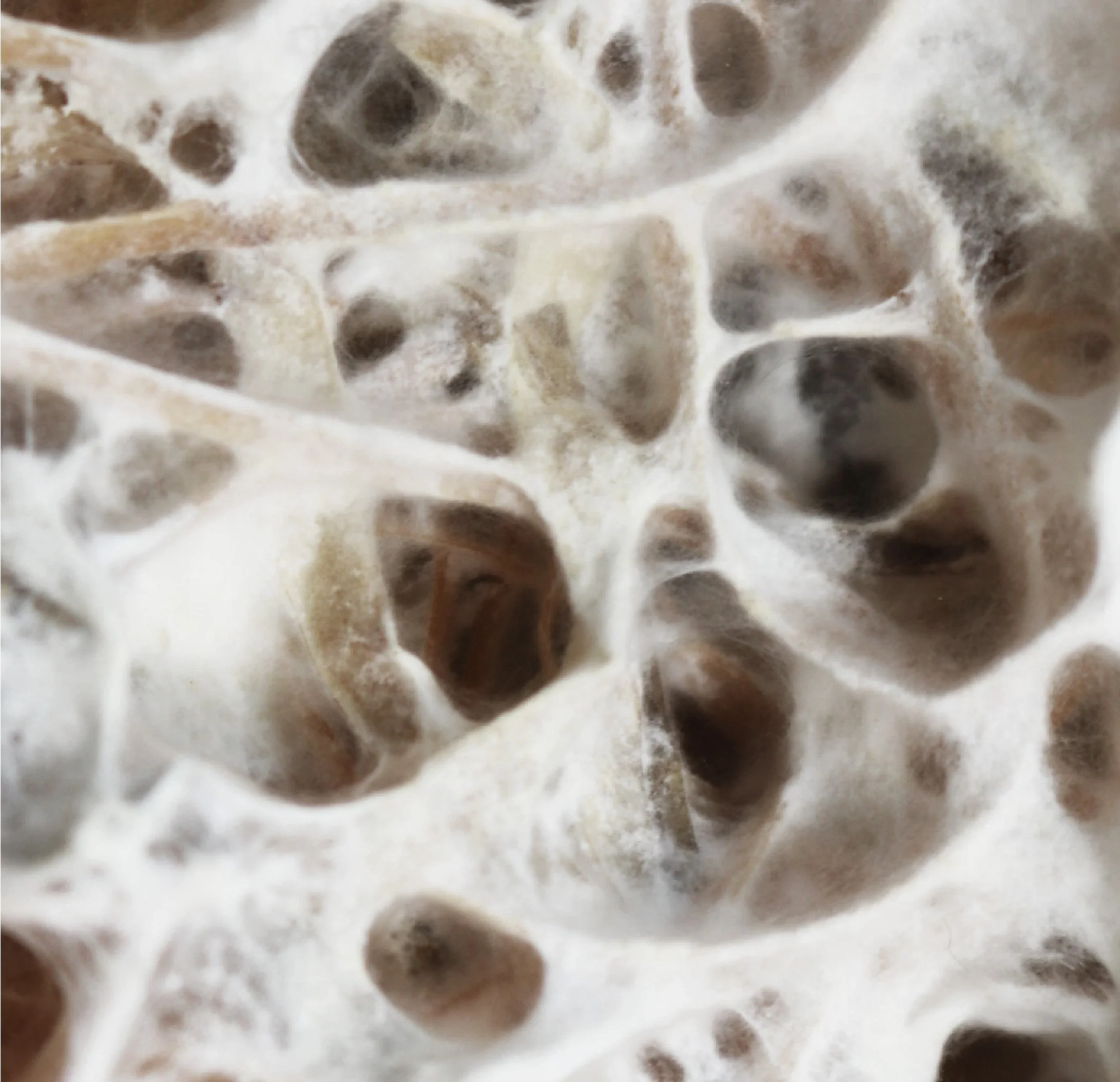 bilag - myx sail film-jonasedvard-3.jpg