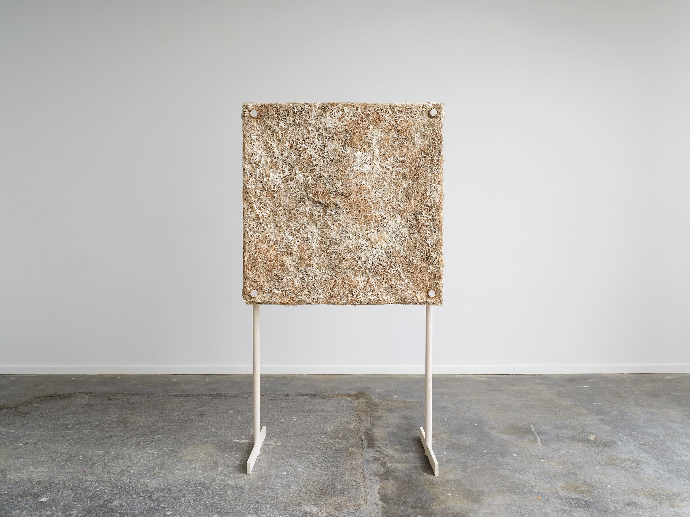 Jonas Edvard (1) - Mindcraft Project 2023 - photocredit Anders Sune Berg.jpg