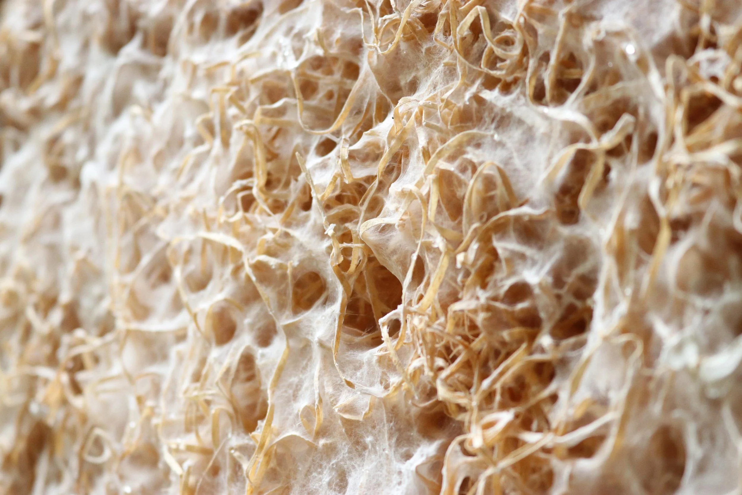 Myxsail-panel - myxsail-jonasedvard.jpg