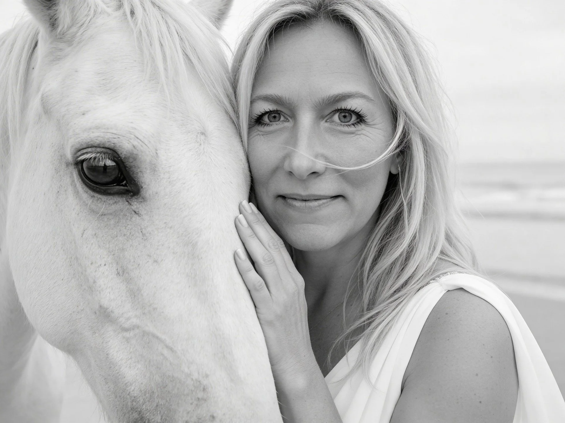 Today I open my private artistic work around visual identity.

The year of the Fire Horse begins.
Movement. Instinct. Sovereign power.

The Fire Horse does not hesitate.
He moves when he knows.

Two artistic offers:

Presence &mdash; 1,333 USD
A refi