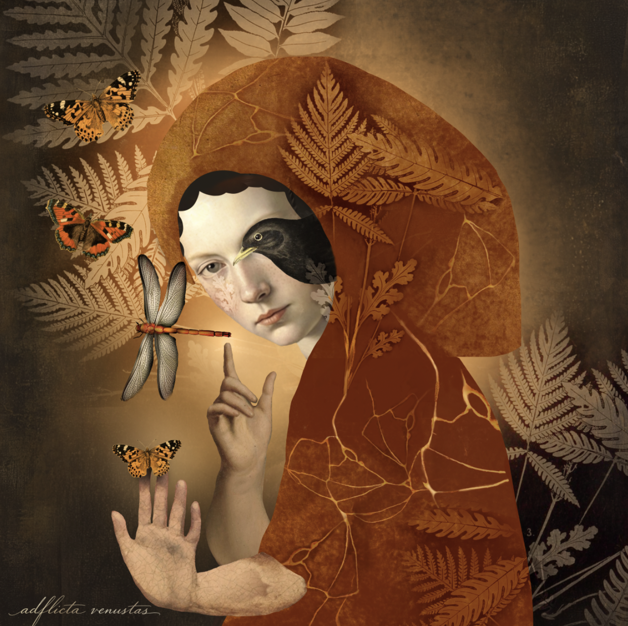 ADFLICTA VENUSTAS (broken beauty)