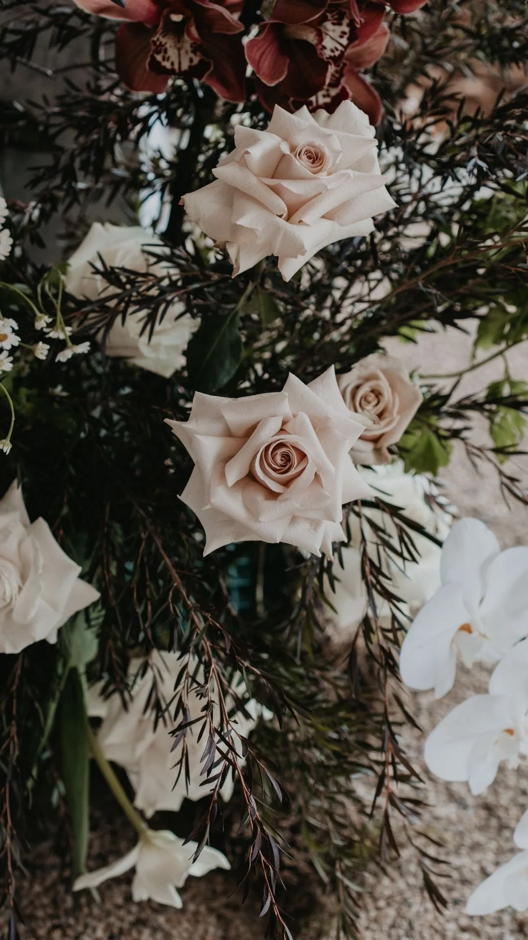 Close-up of white roses and dark purple foliage in a floral arrangement.