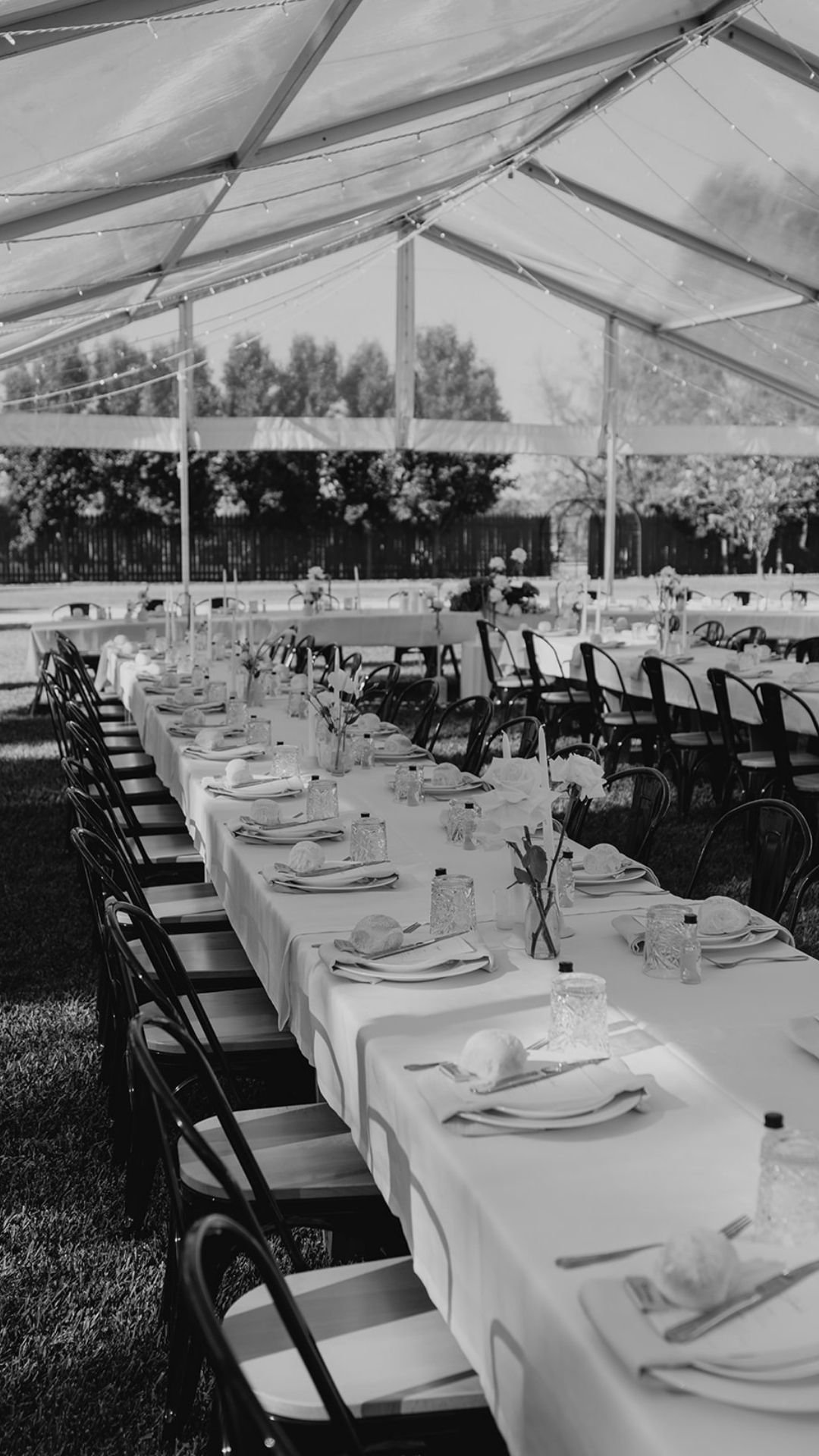 Long outdoor banquet table covered with a white tablecloth, set with plates, cups, napkins, and silverware under a large canopy tent with string lights, in a garden or backyard setting.