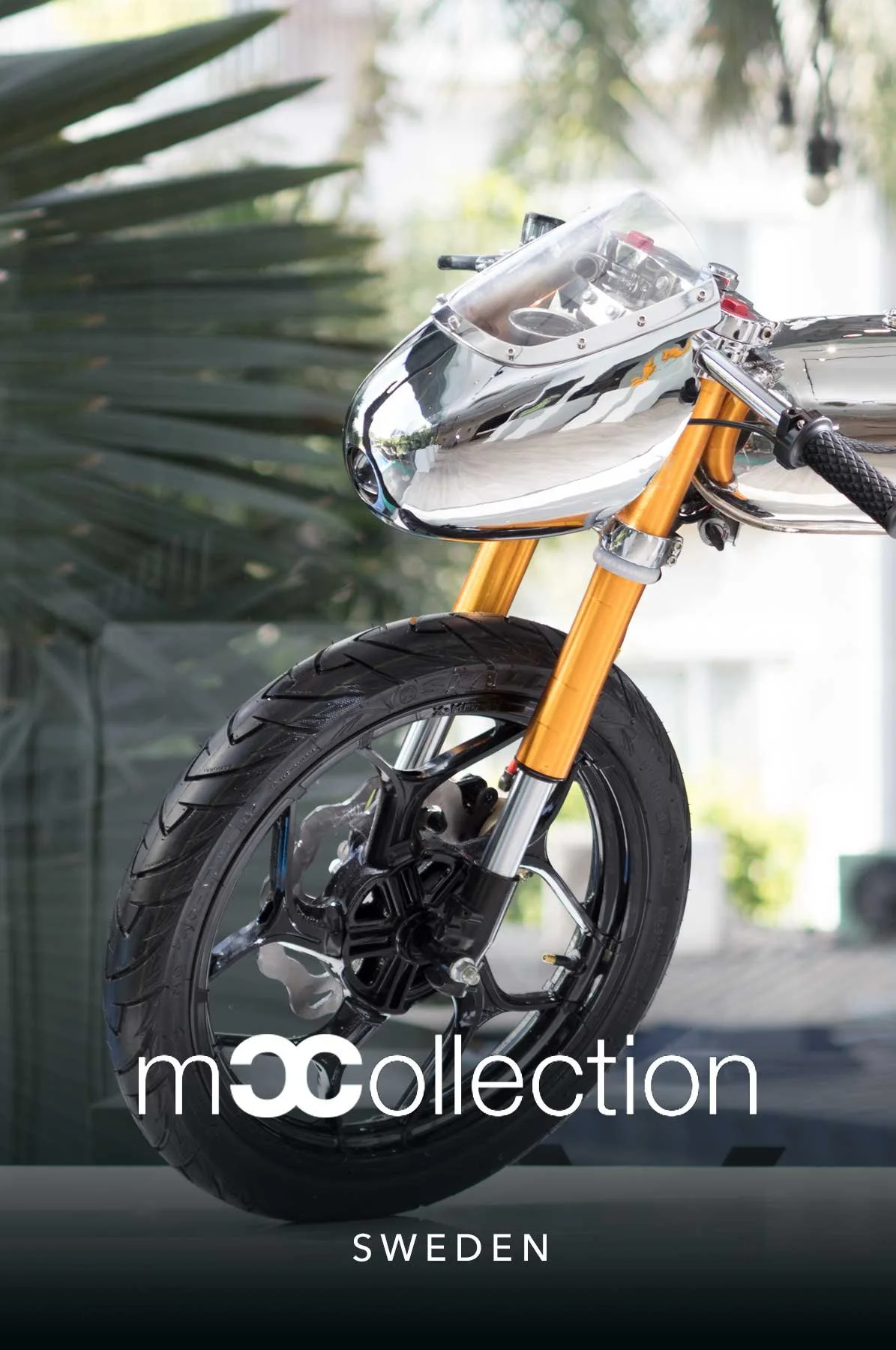 MC_COLLECTION.jpg