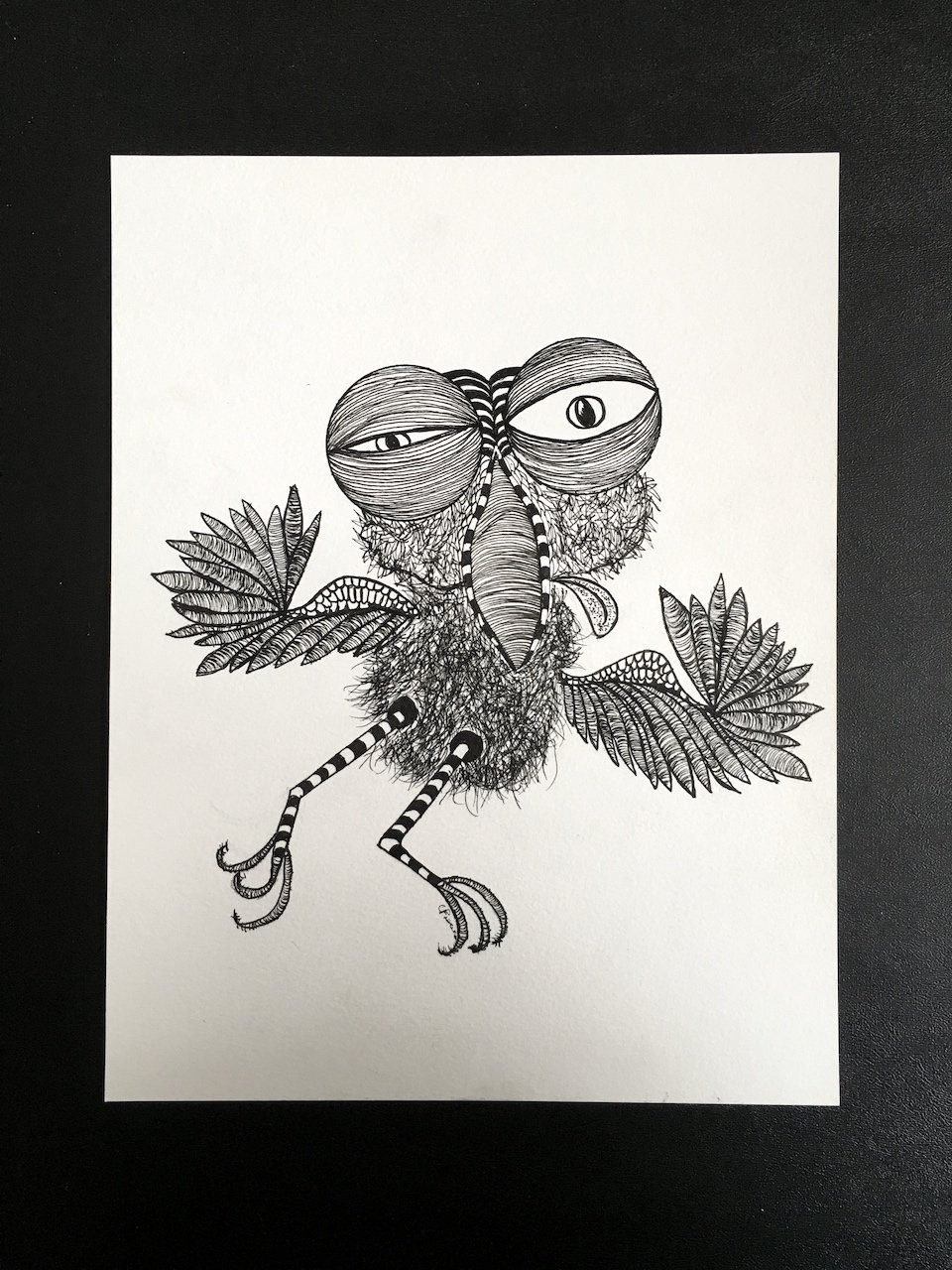 Get the Bird Out drawing number 5 by Charly Fasano.