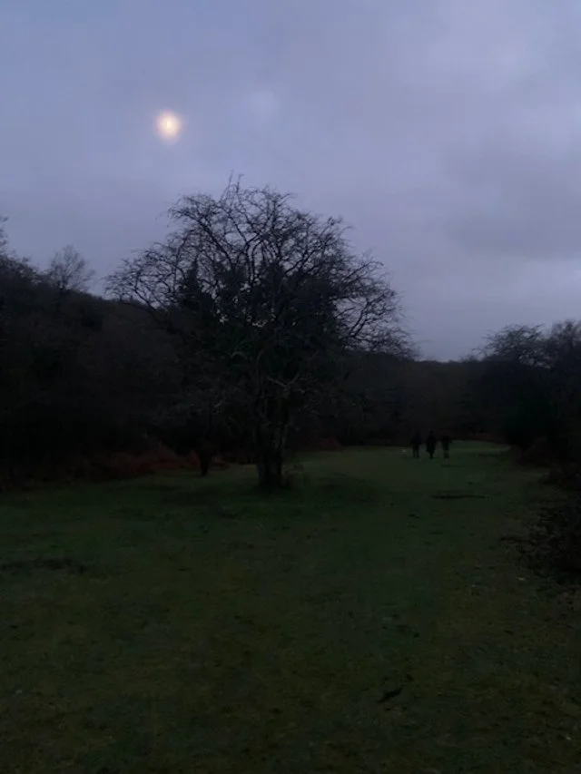 liminal - Imbolc &amp; Brigid