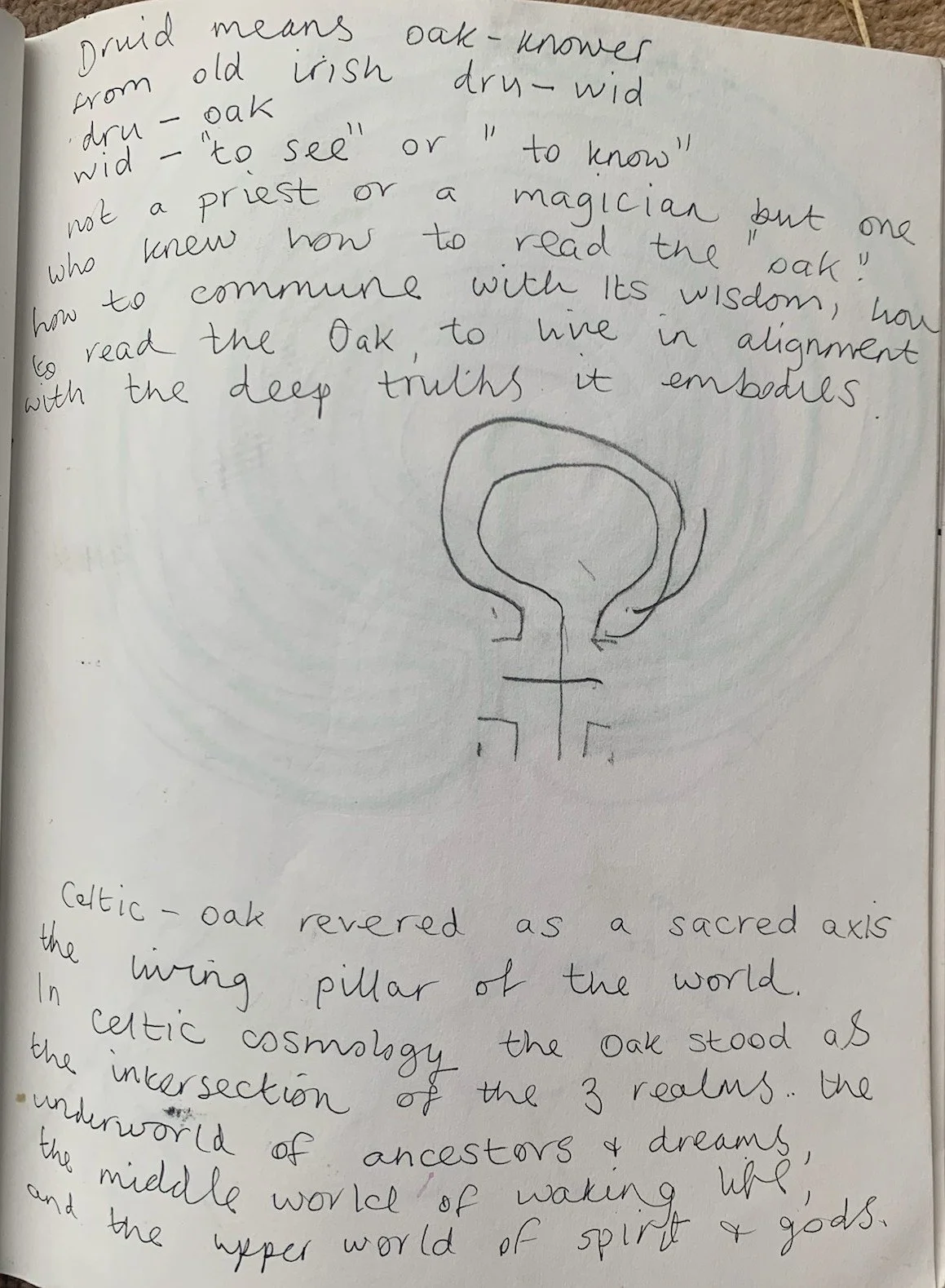 notes in the middle of the drawings