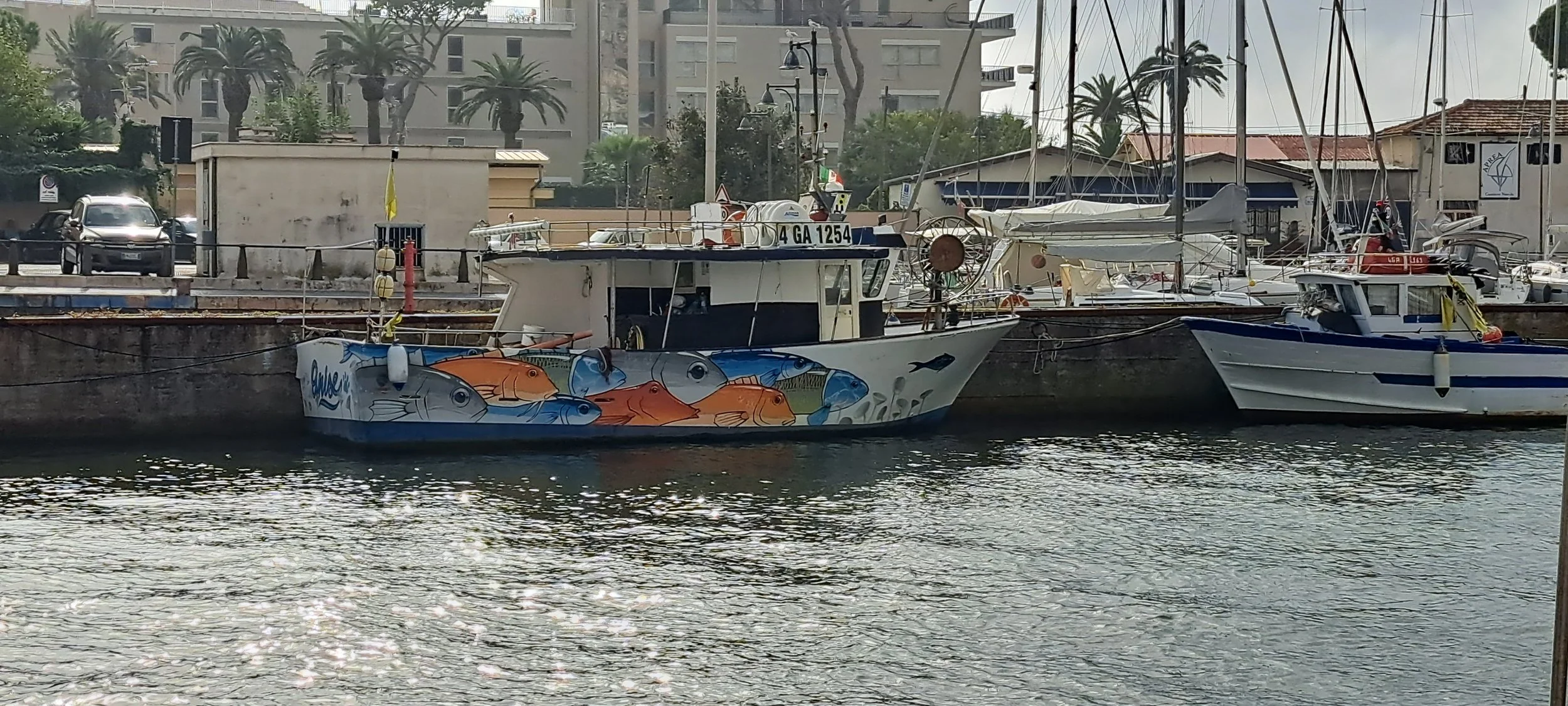 20231019_152731.jpg