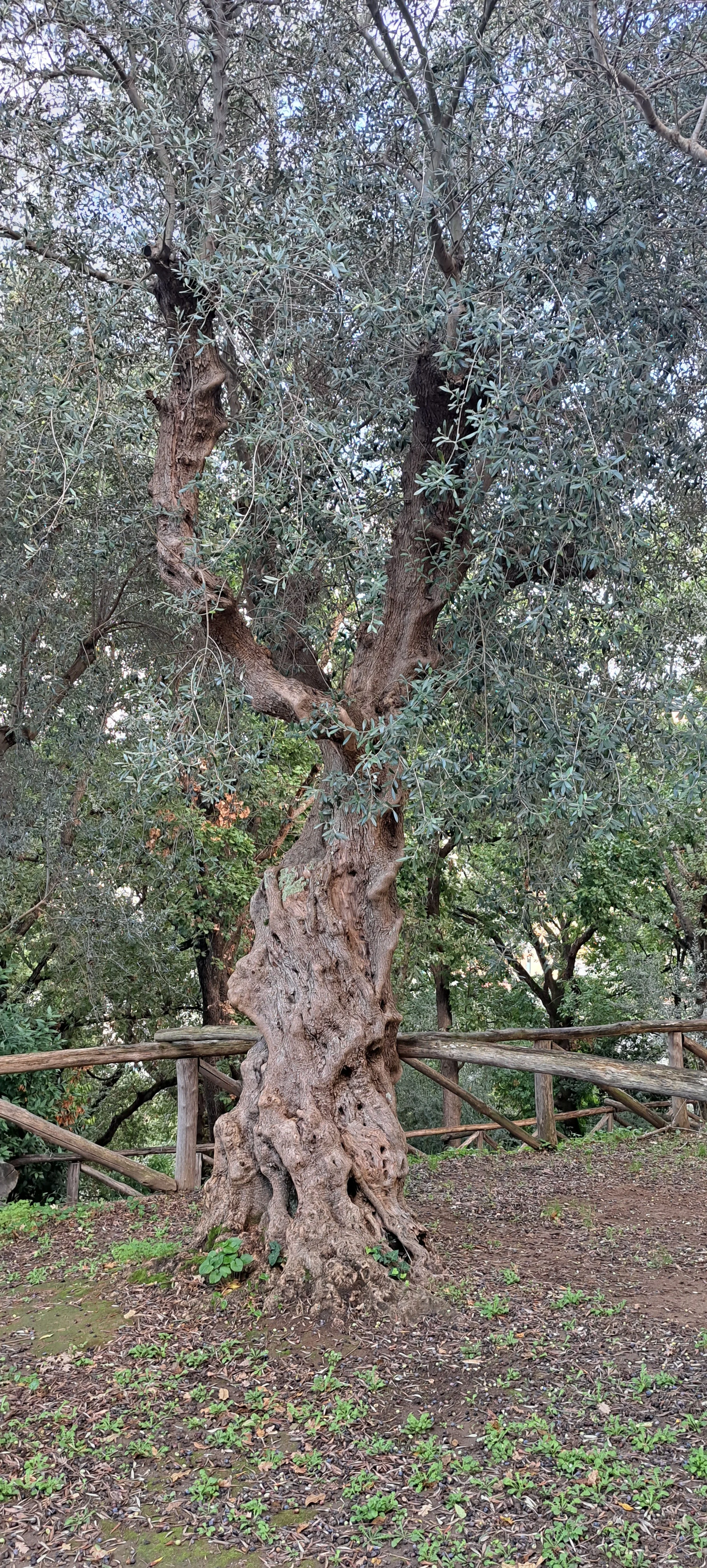 20231031_161757.jpg