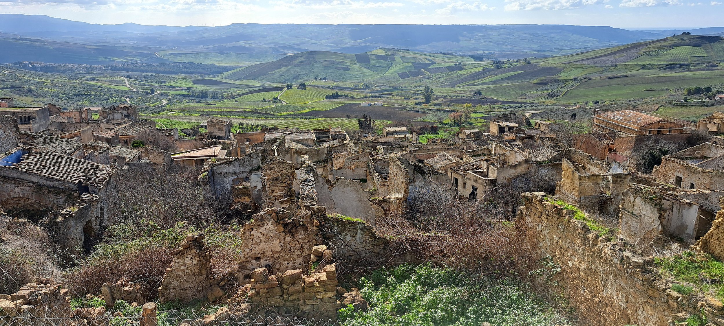 20240113_121424.jpg