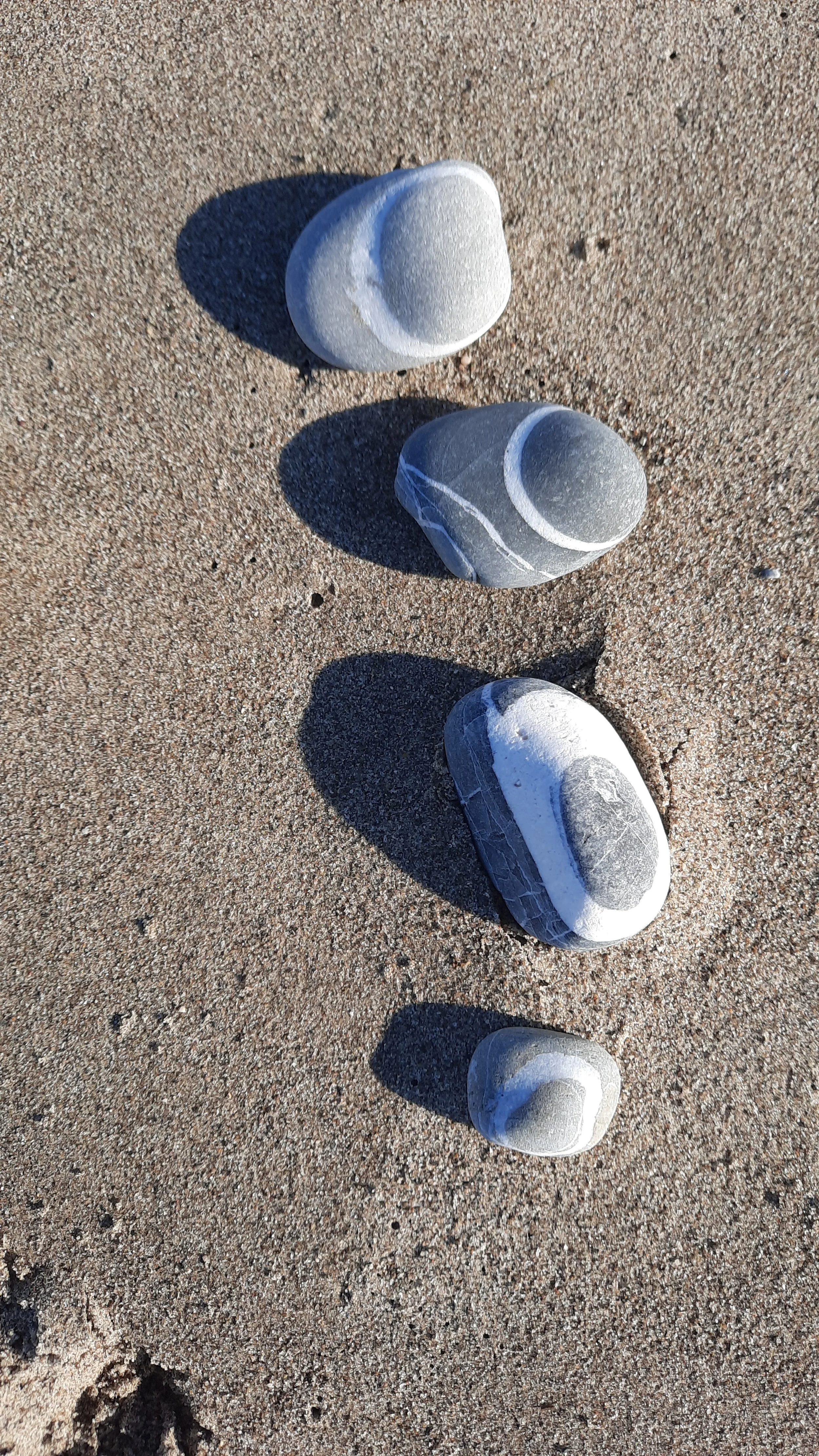 20240131_142753.jpg