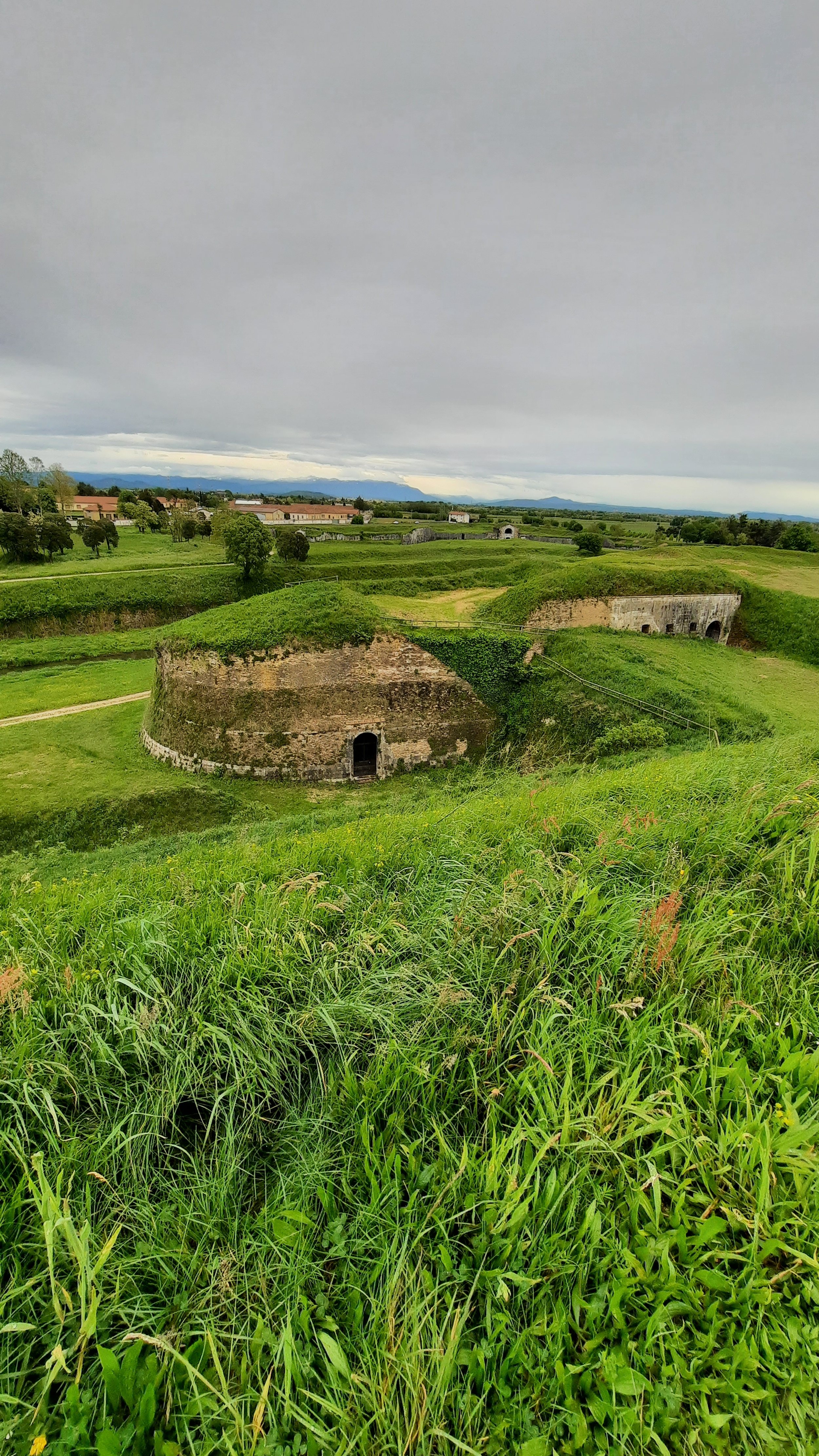 20240425_105730.jpg