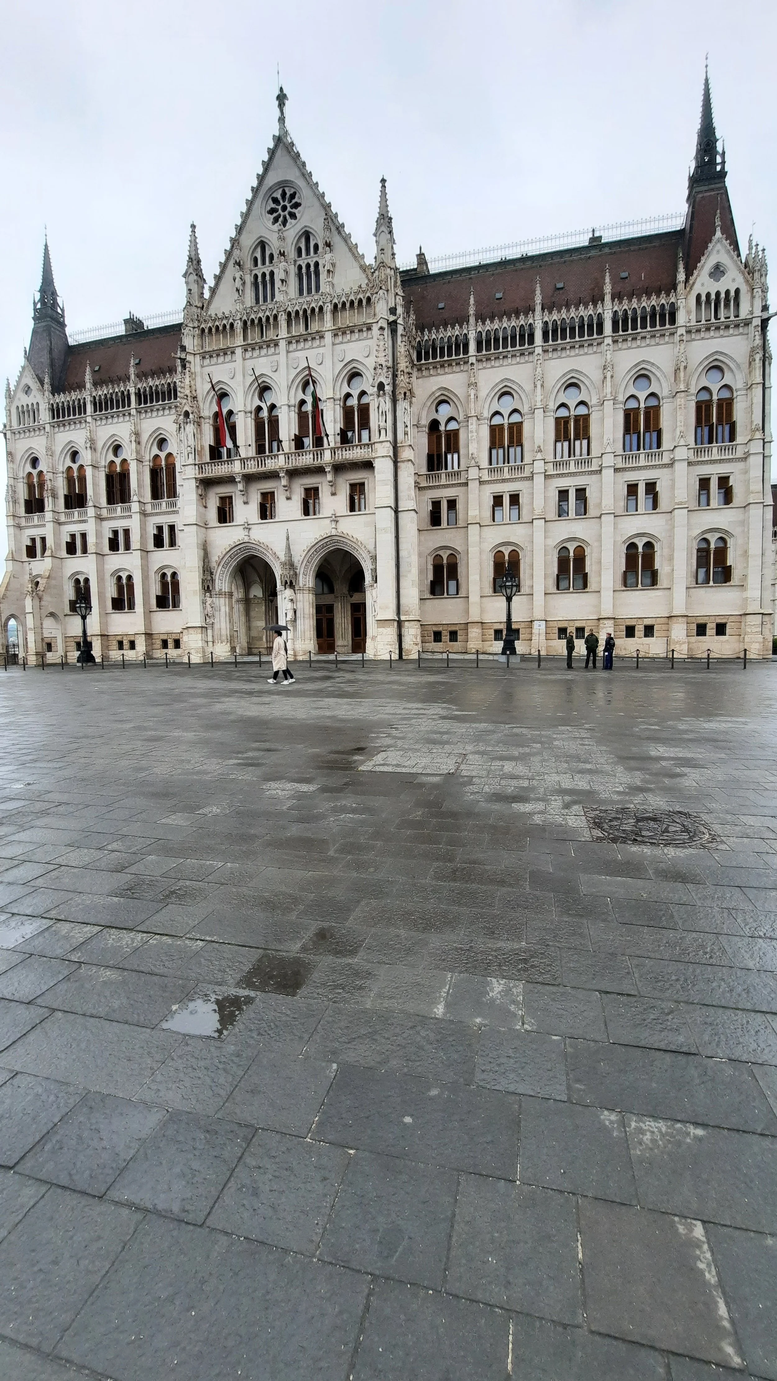 20250506_105415.jpg