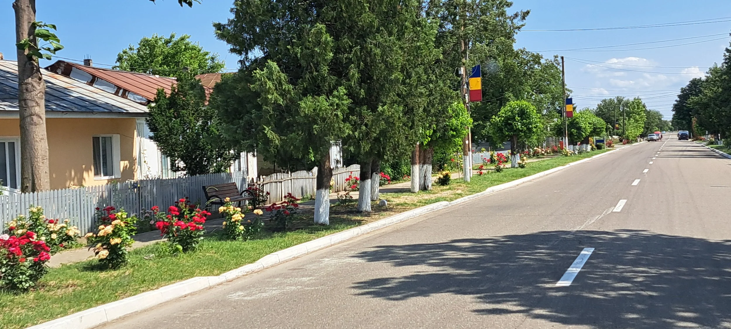 20250613_150622.jpg