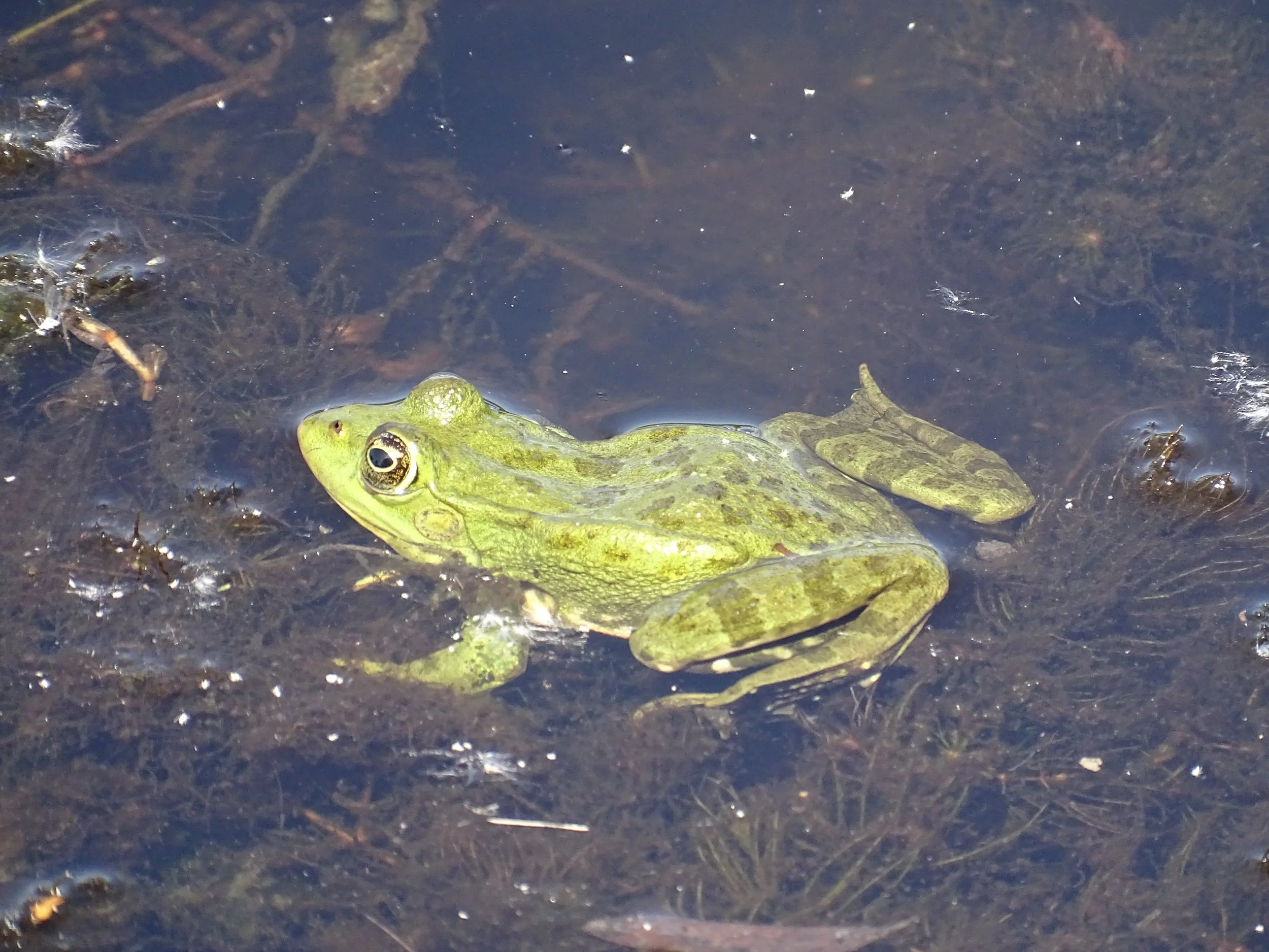 DSC07785.JPG