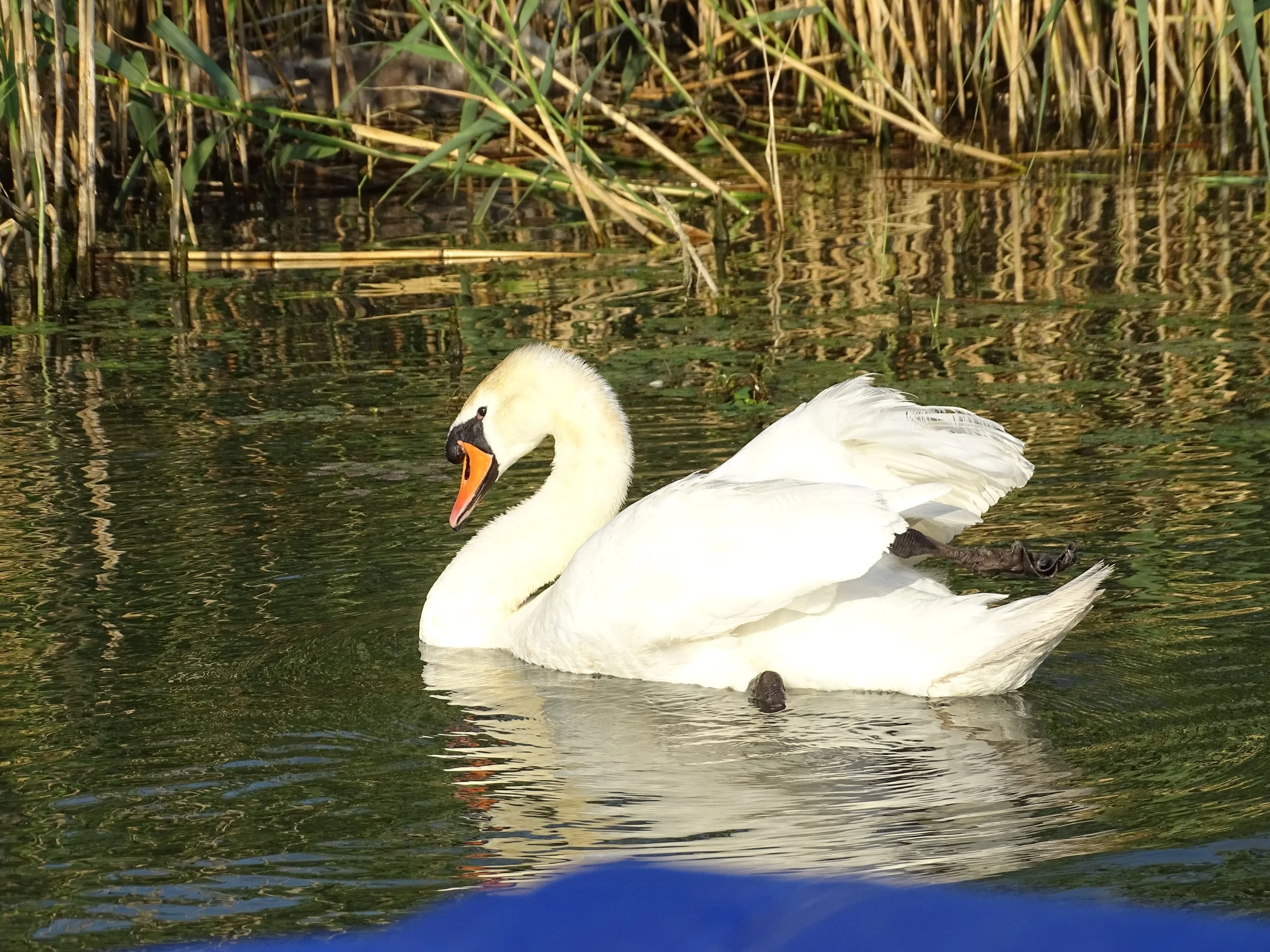 DSC07915.JPG