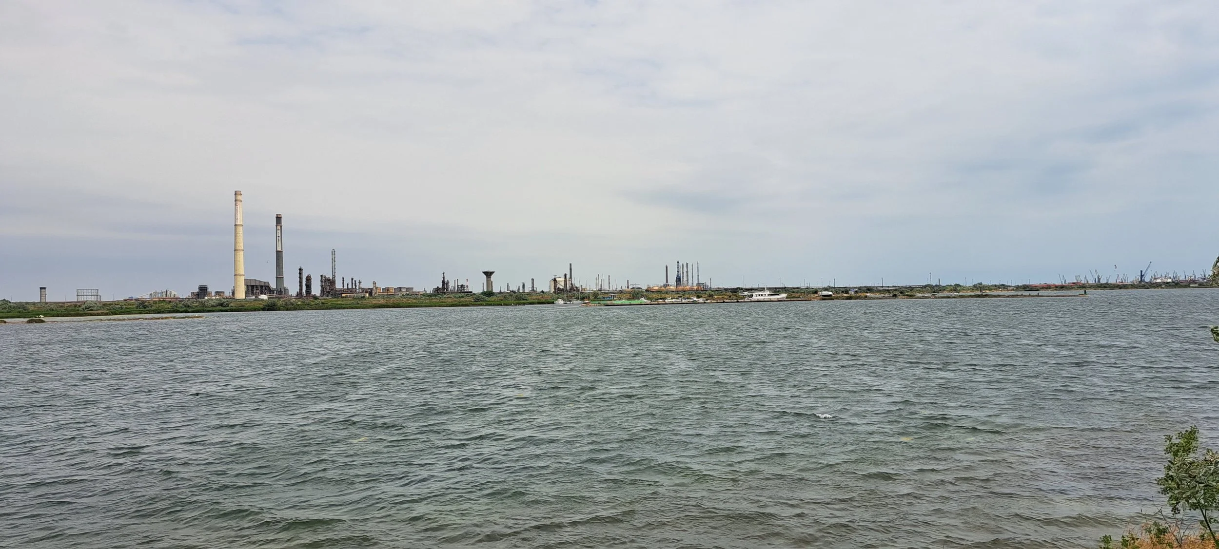 20250620_121635.jpg