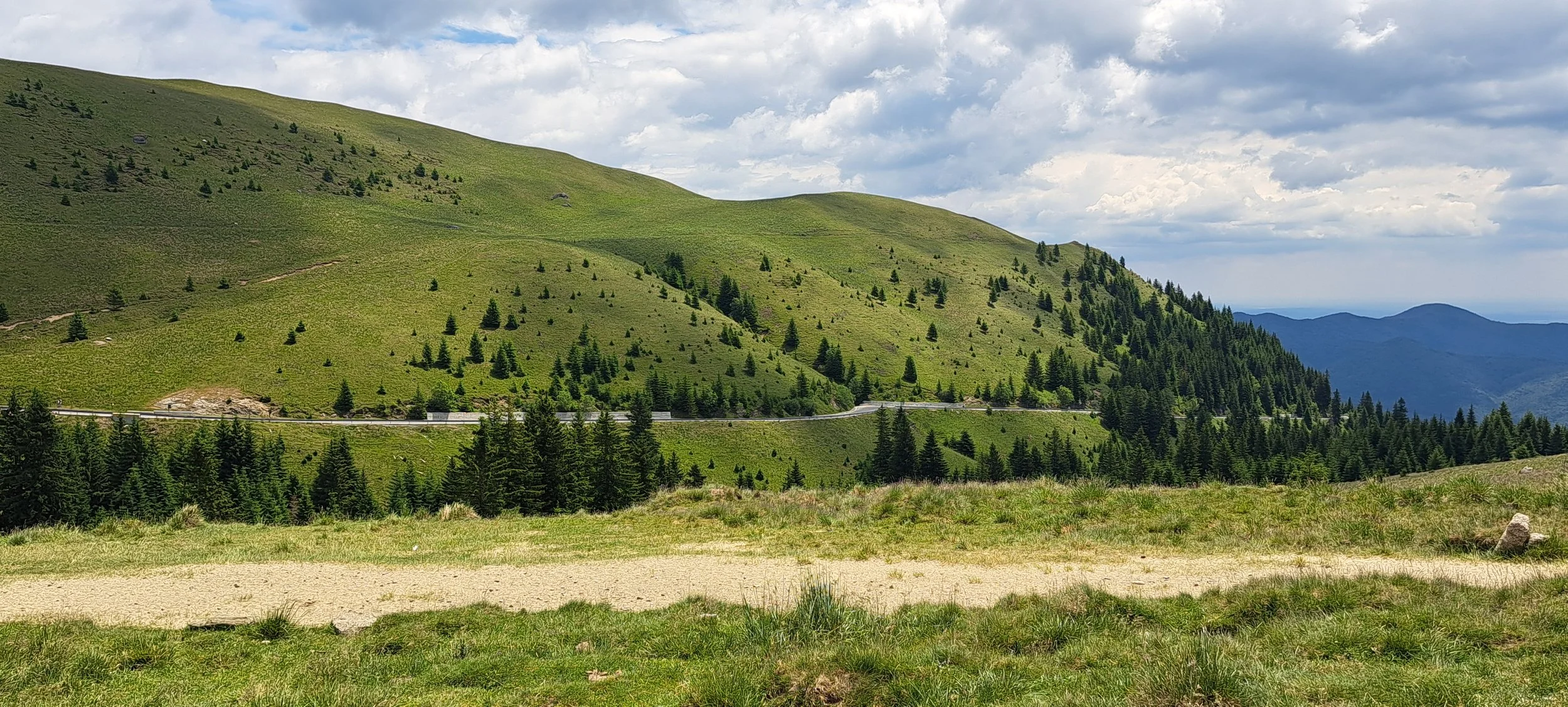 20250630_123115.jpg