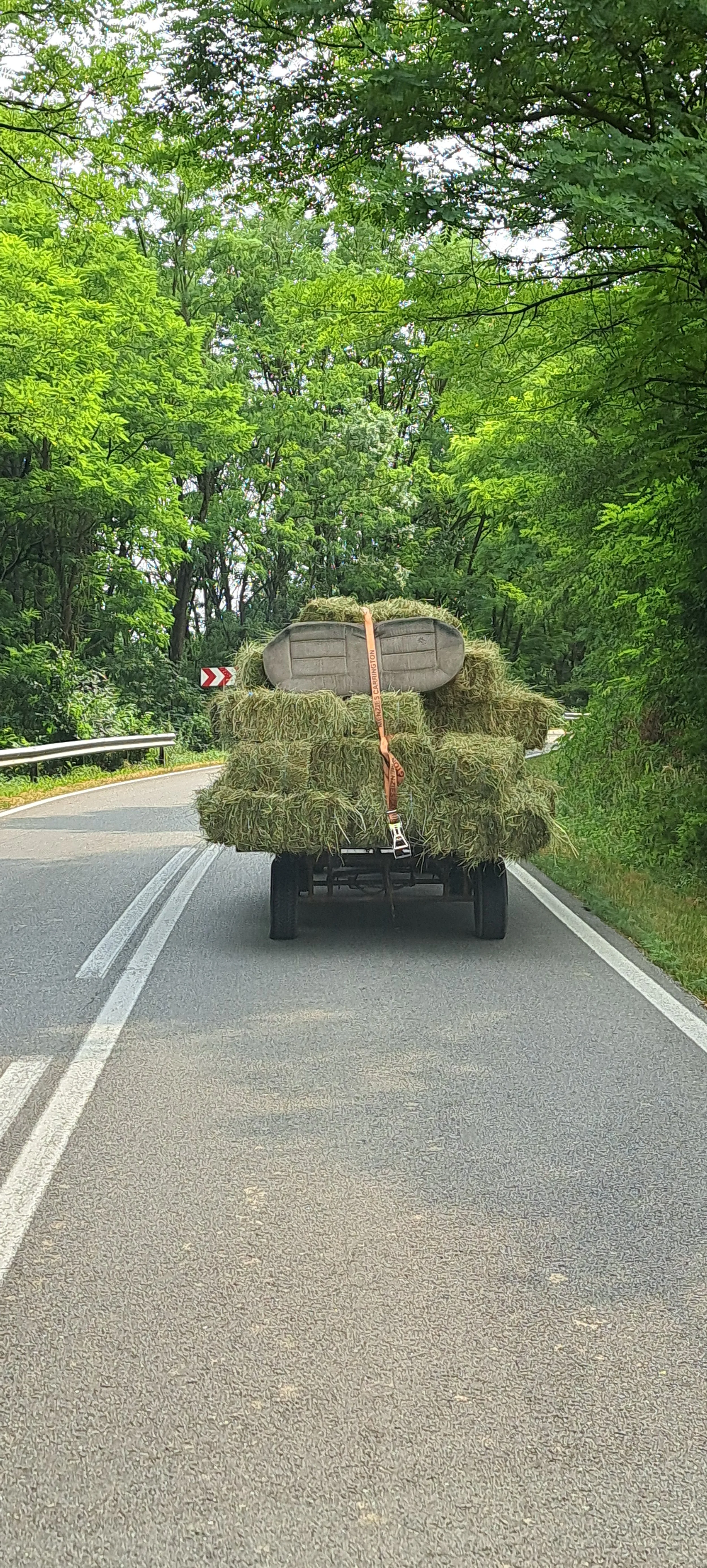 20250705_162809.jpg