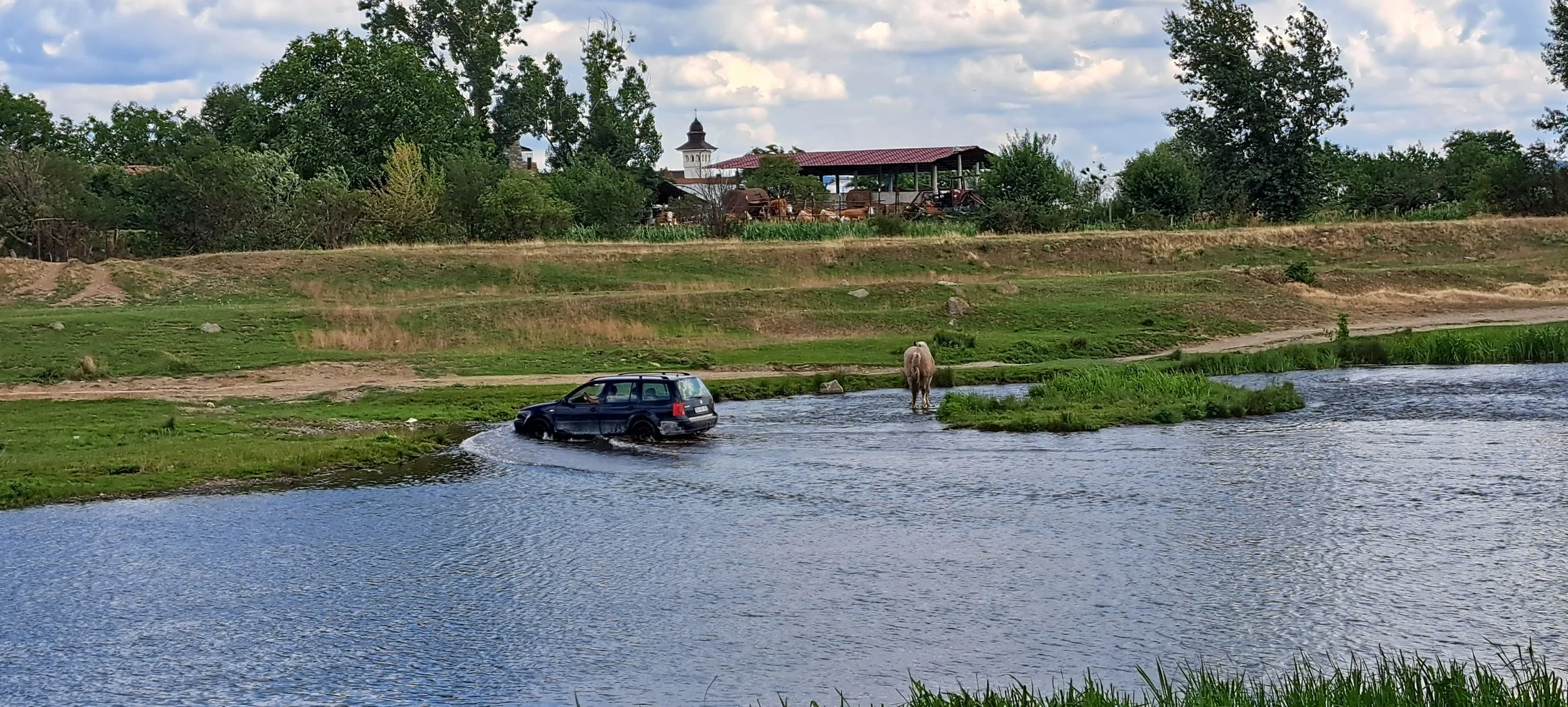 20250719_160629.jpg