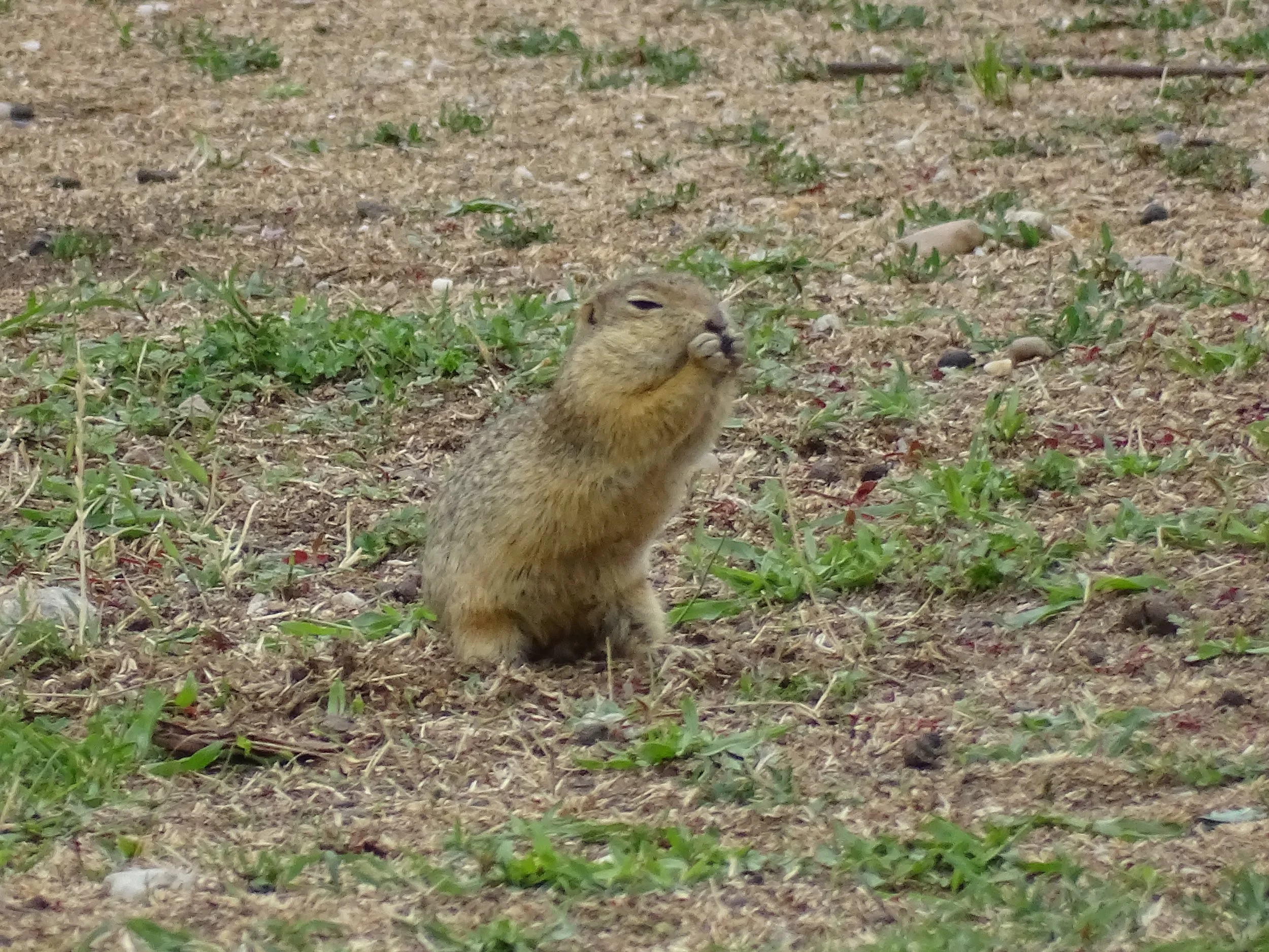 DSC08219.JPG