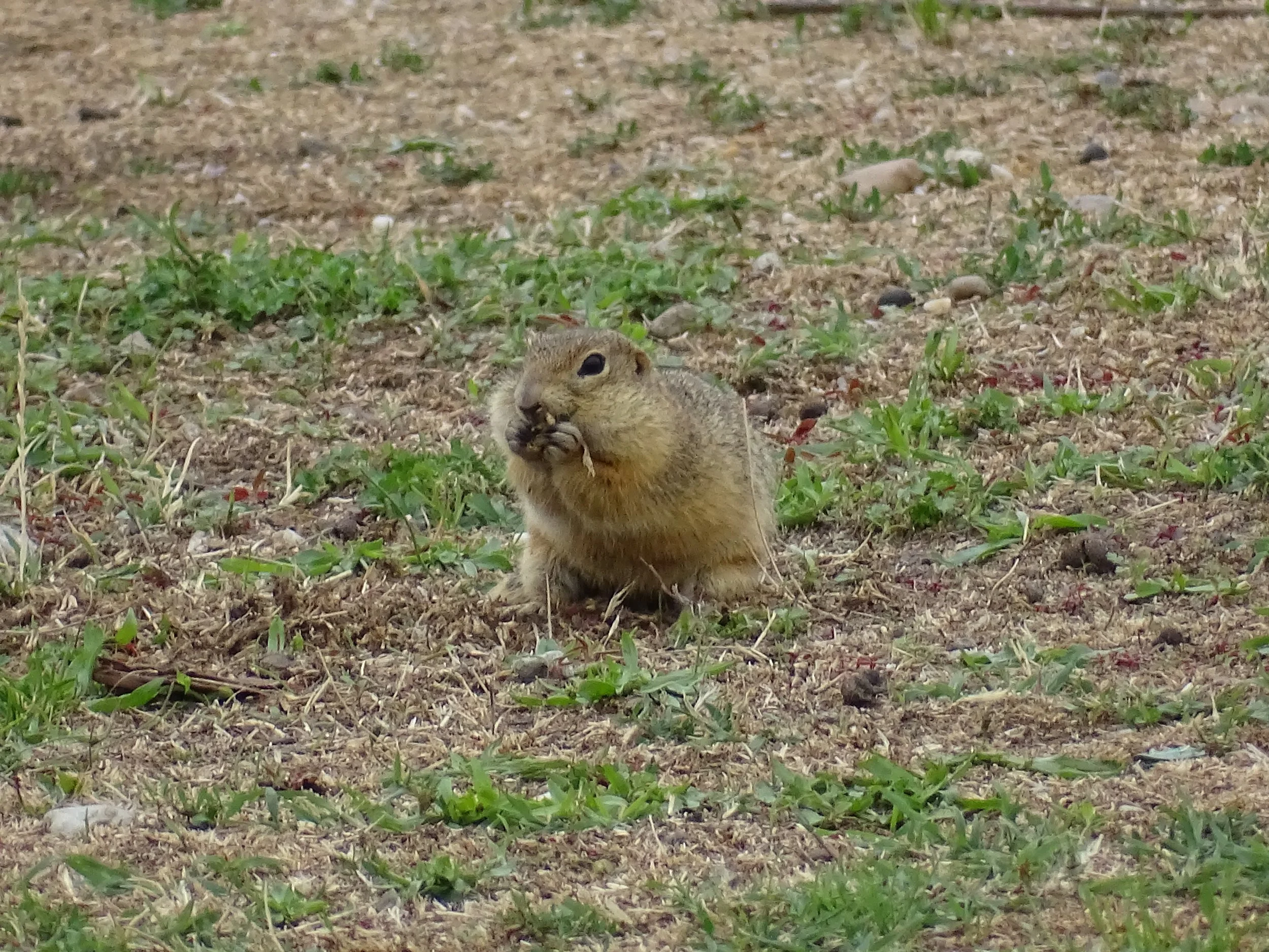 DSC08220.JPG