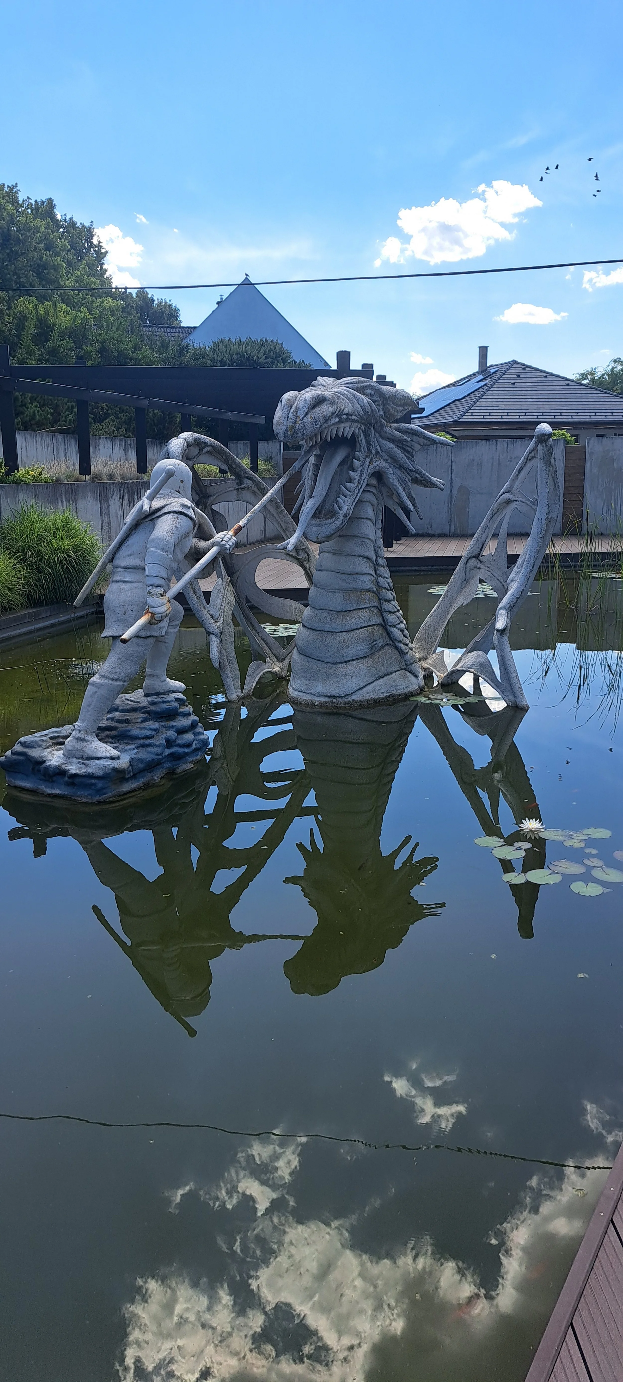 20250724_142132.jpg