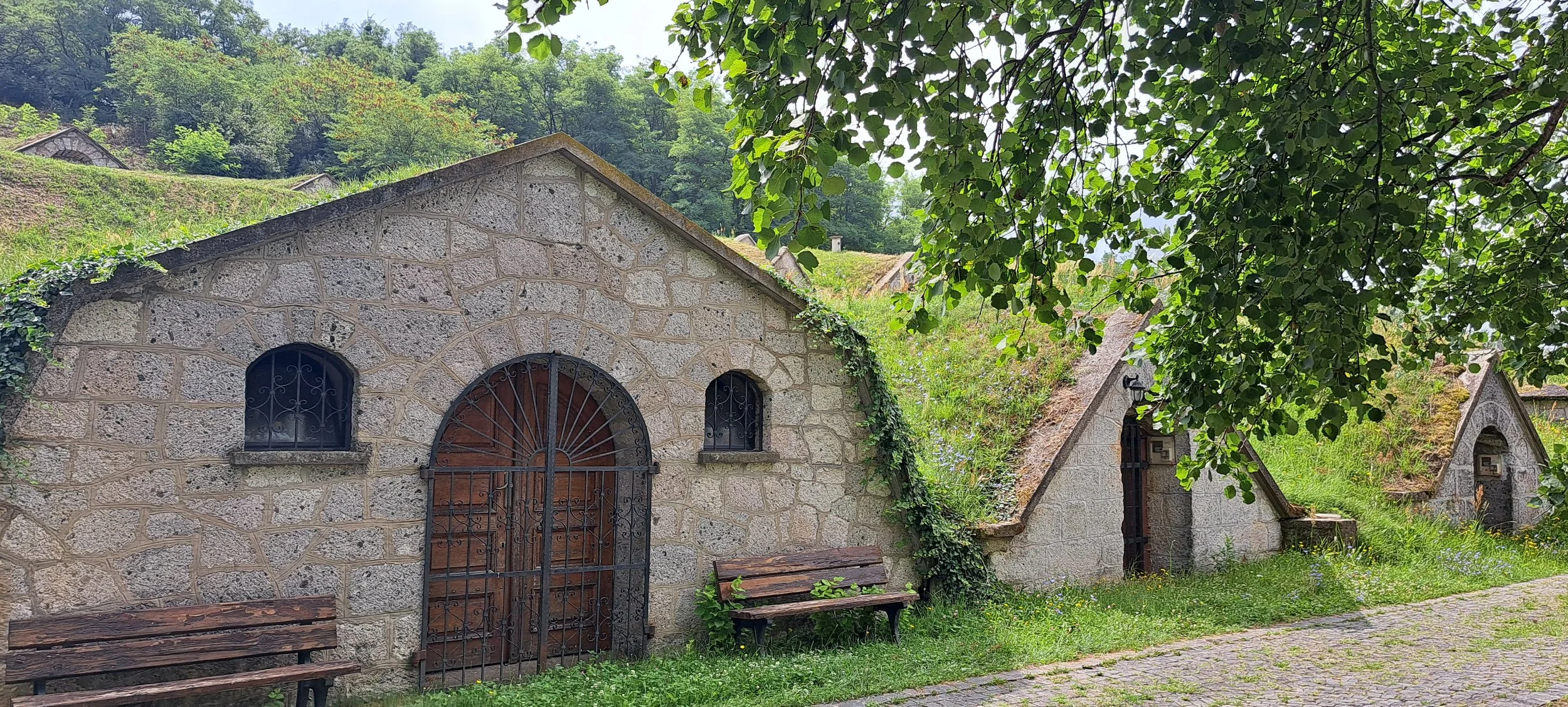 20250728_110958.jpg