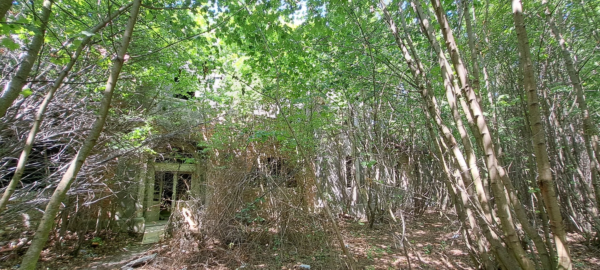 20250810_135450.jpg