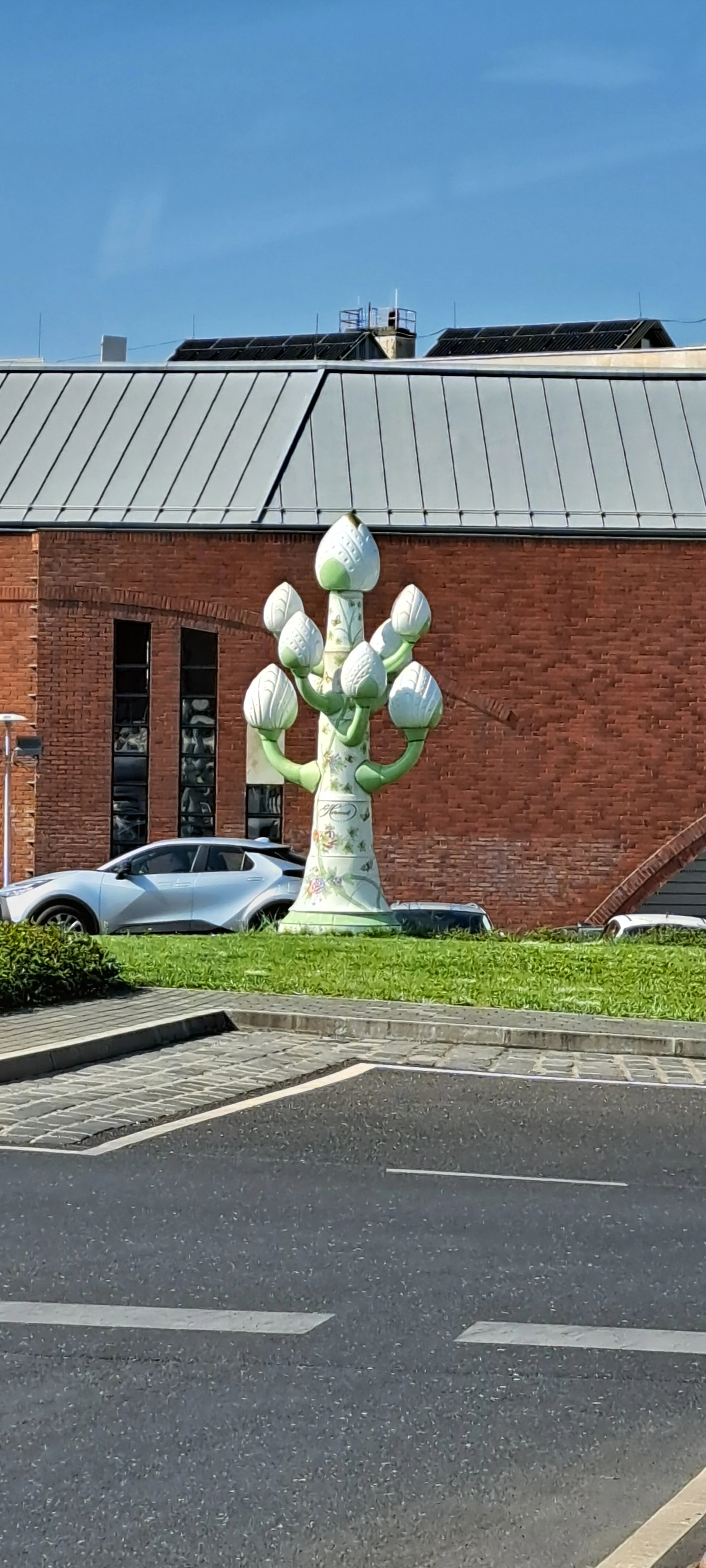 20250812_100220.jpg