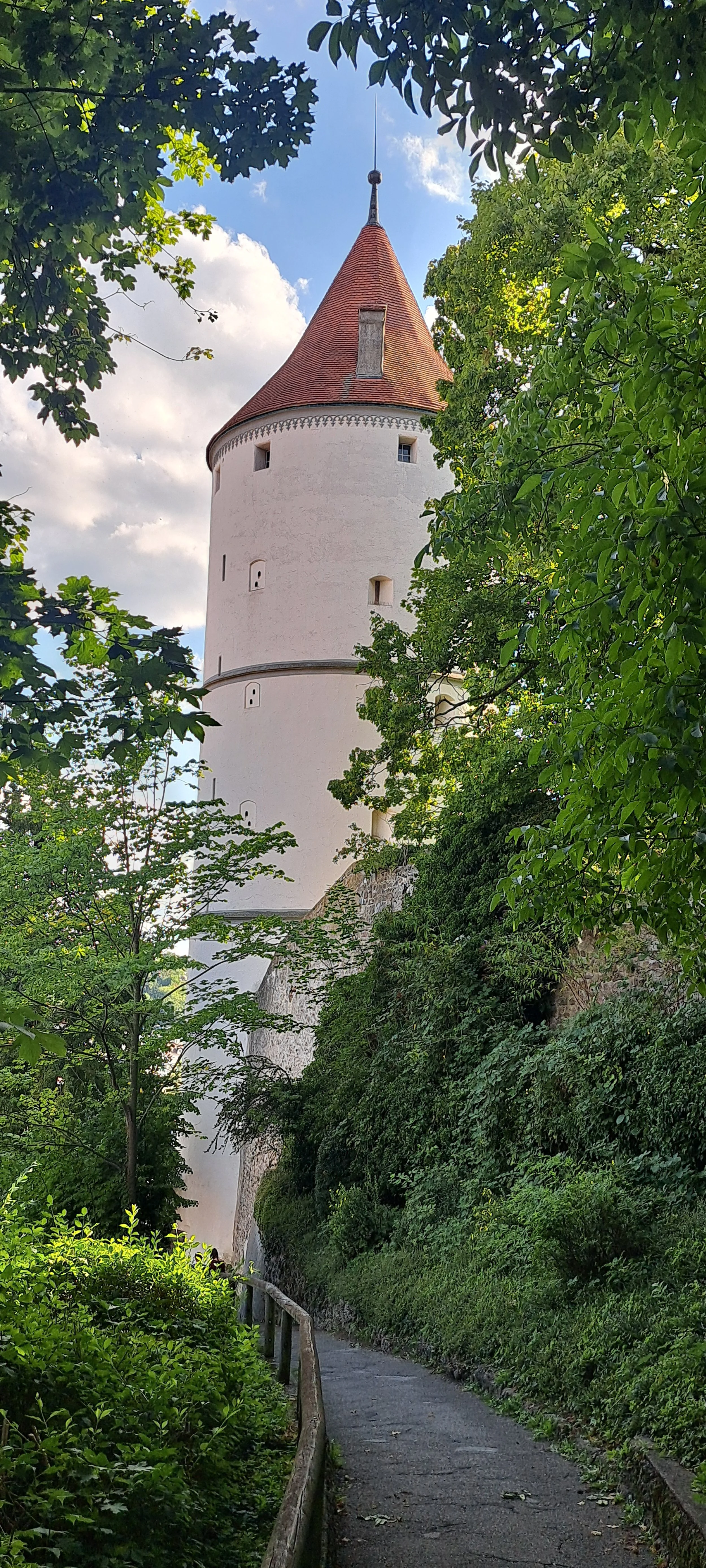 20250824_171355.jpg