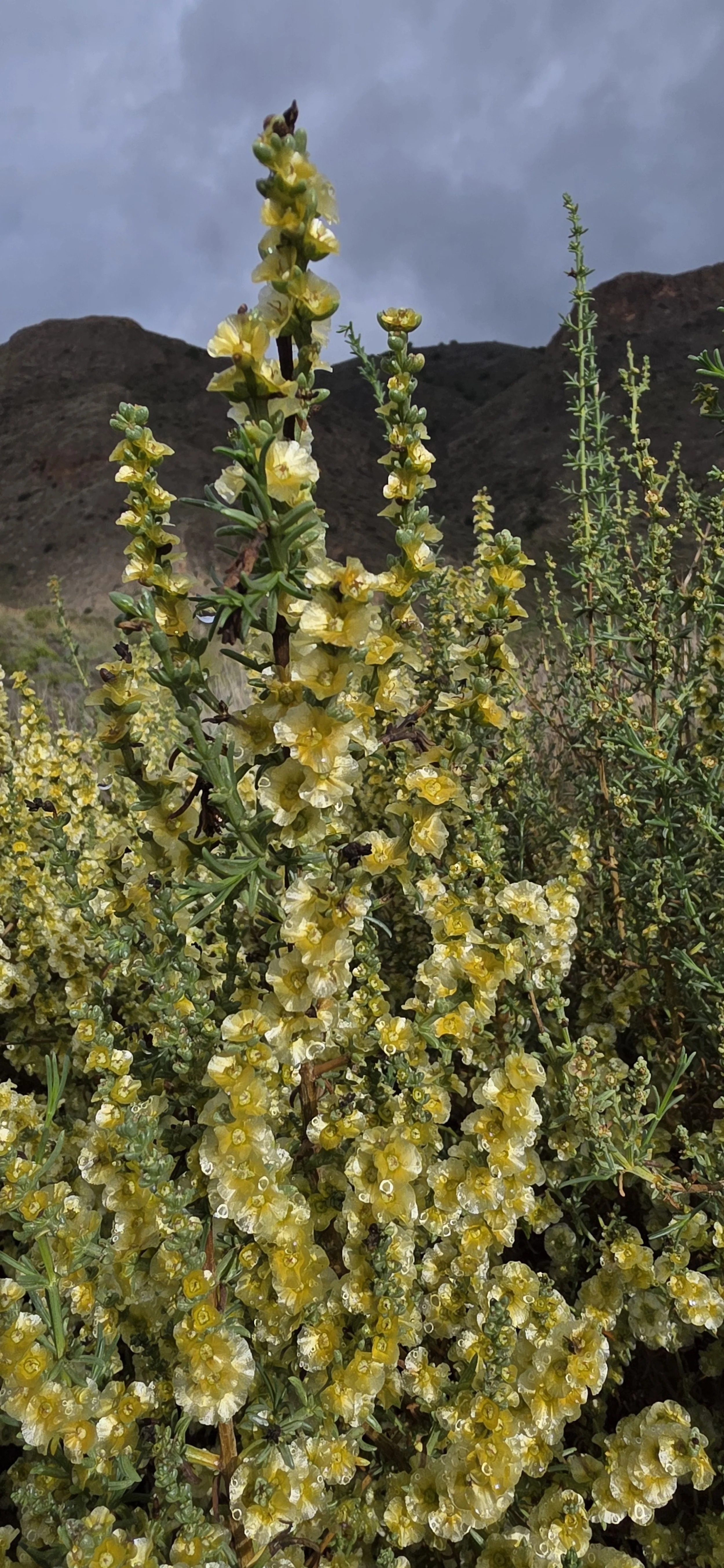 20251027_102127.jpg