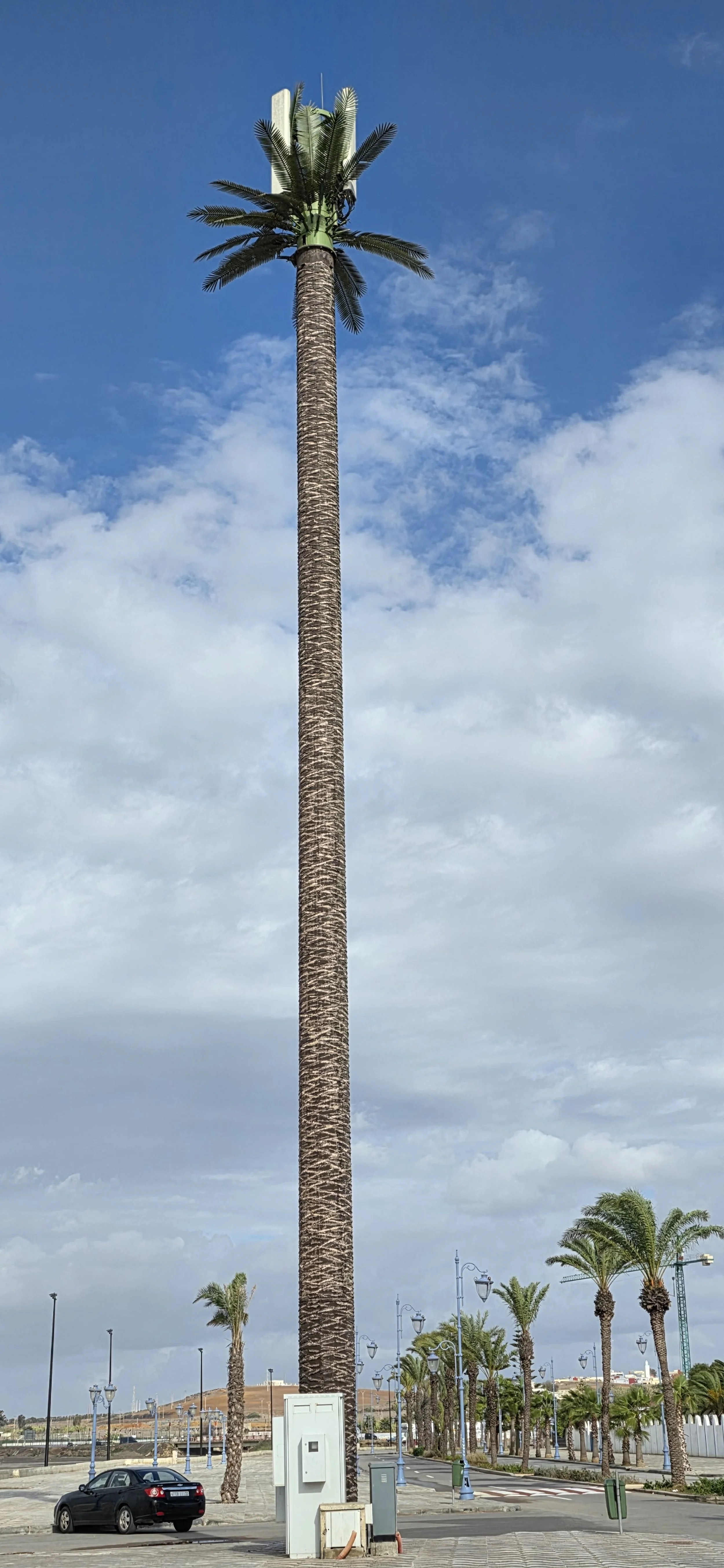 20251114_144116.jpg