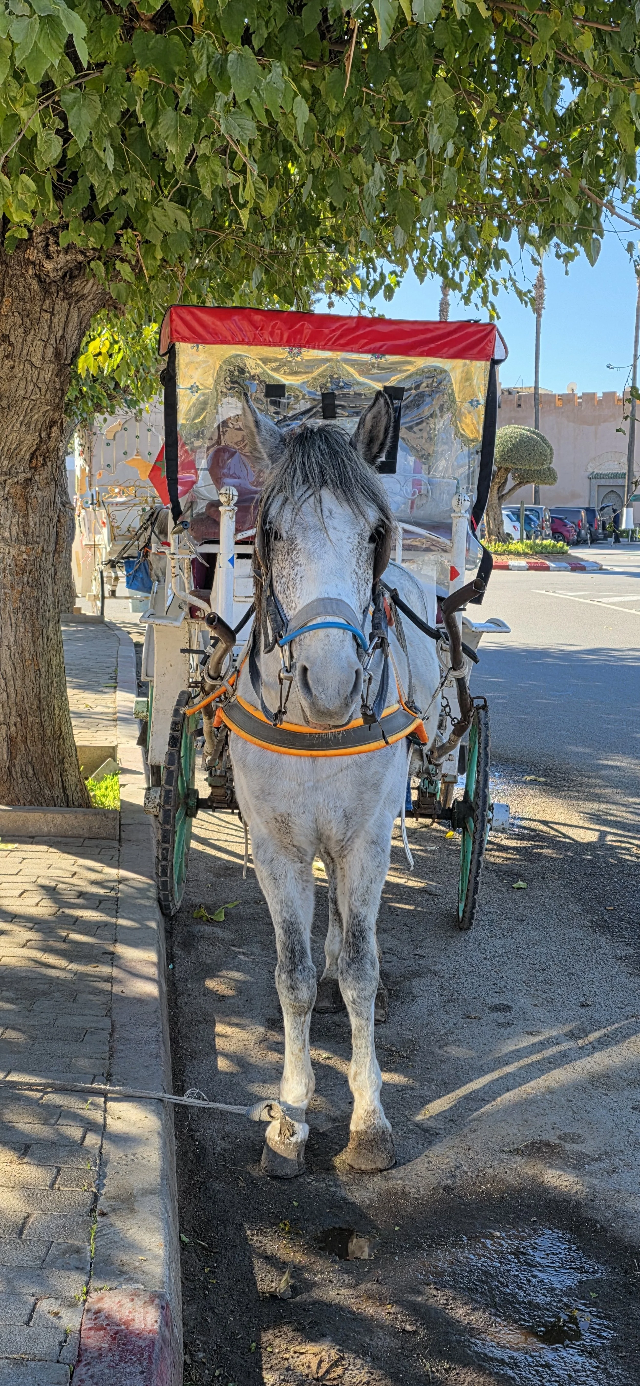 20251127_112649.jpg