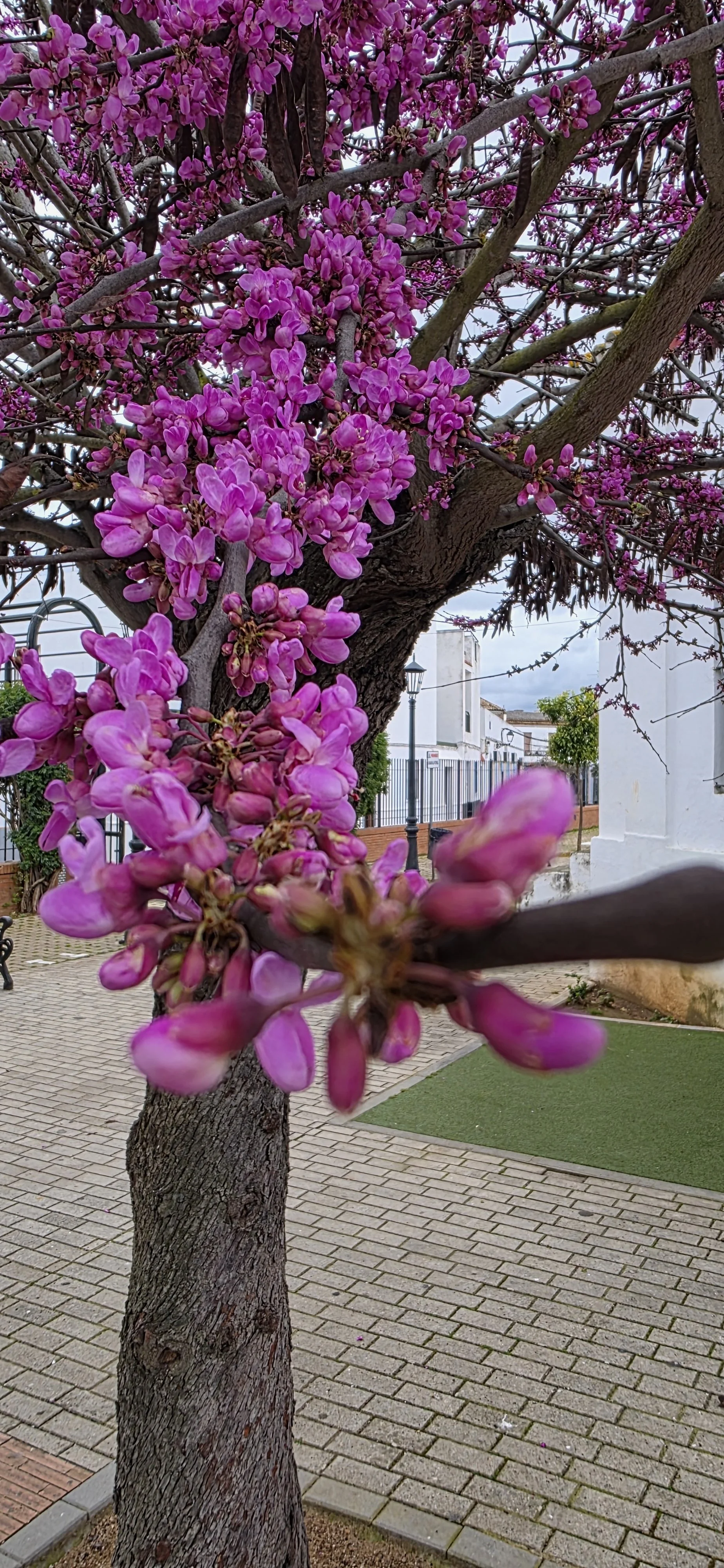 Spanien, von Portugal nach Frankreich 1