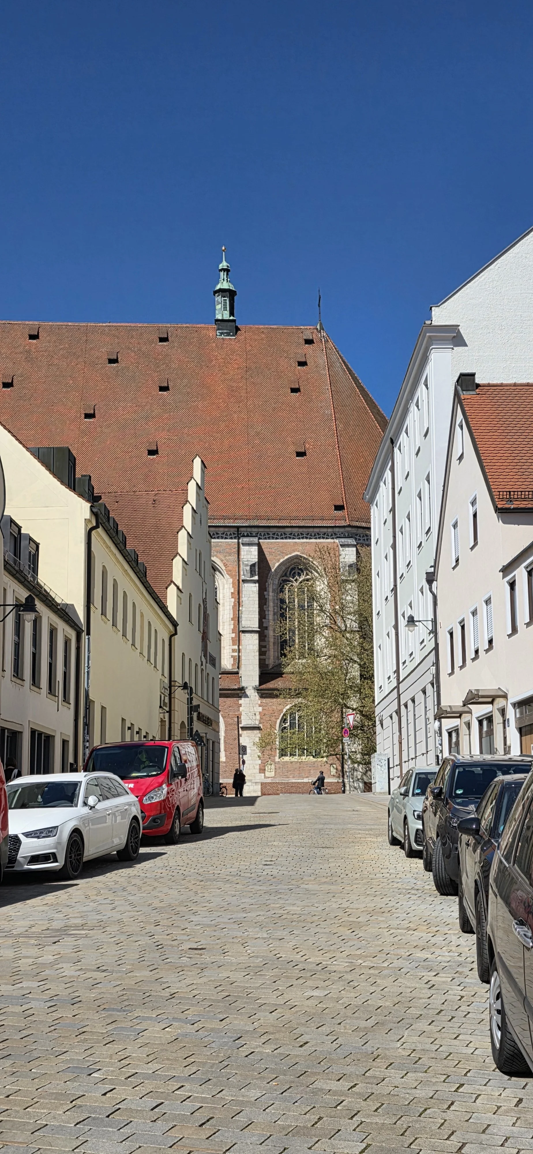 20260423_143556.jpg