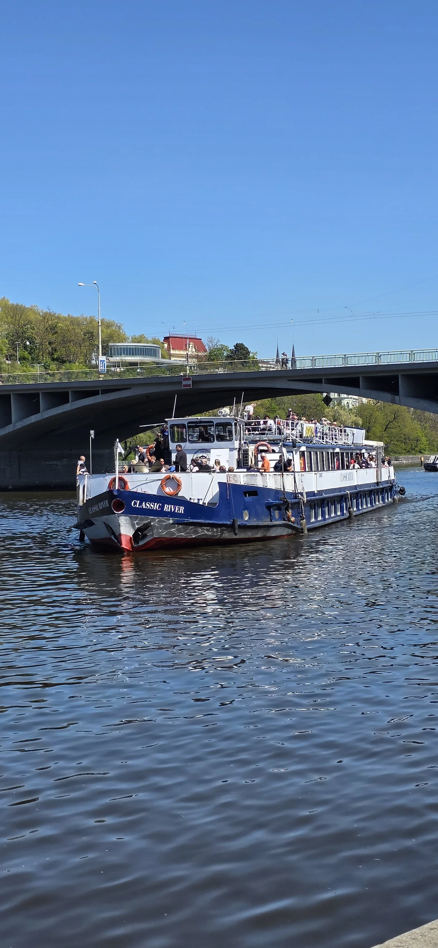 20260501_124954.jpg