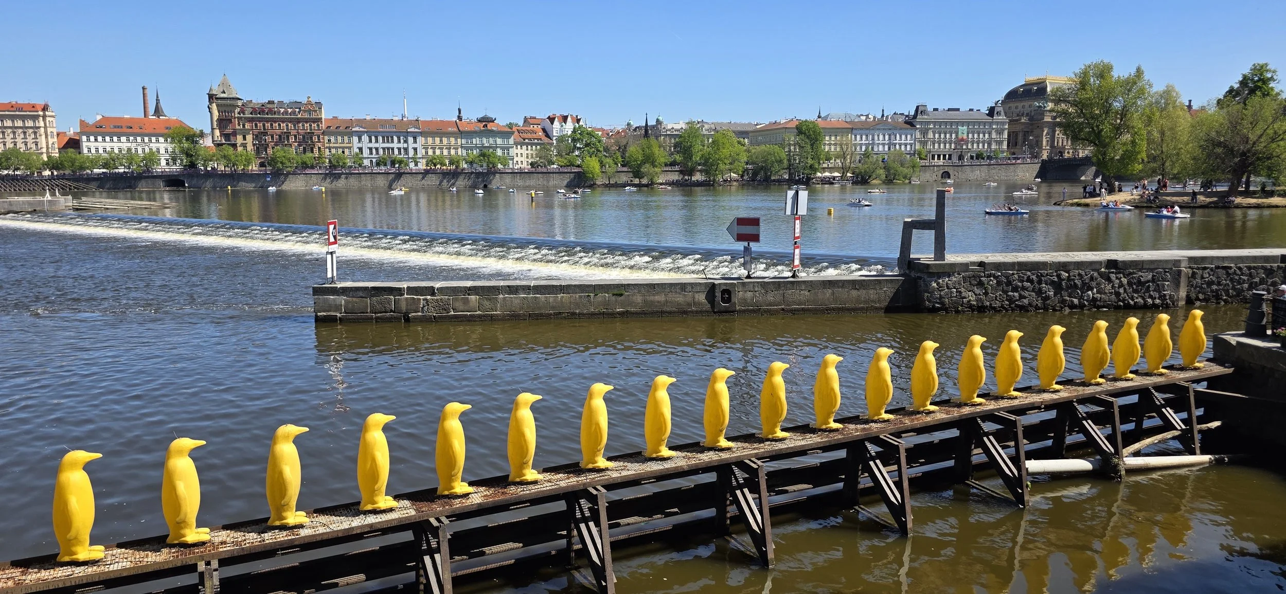 20260502_140437.jpg