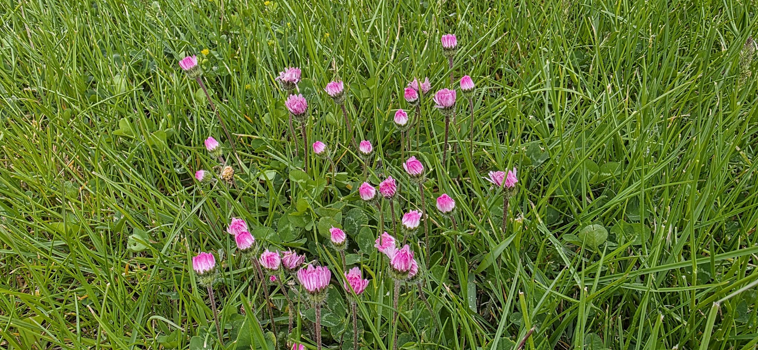 20260513_090908.jpg