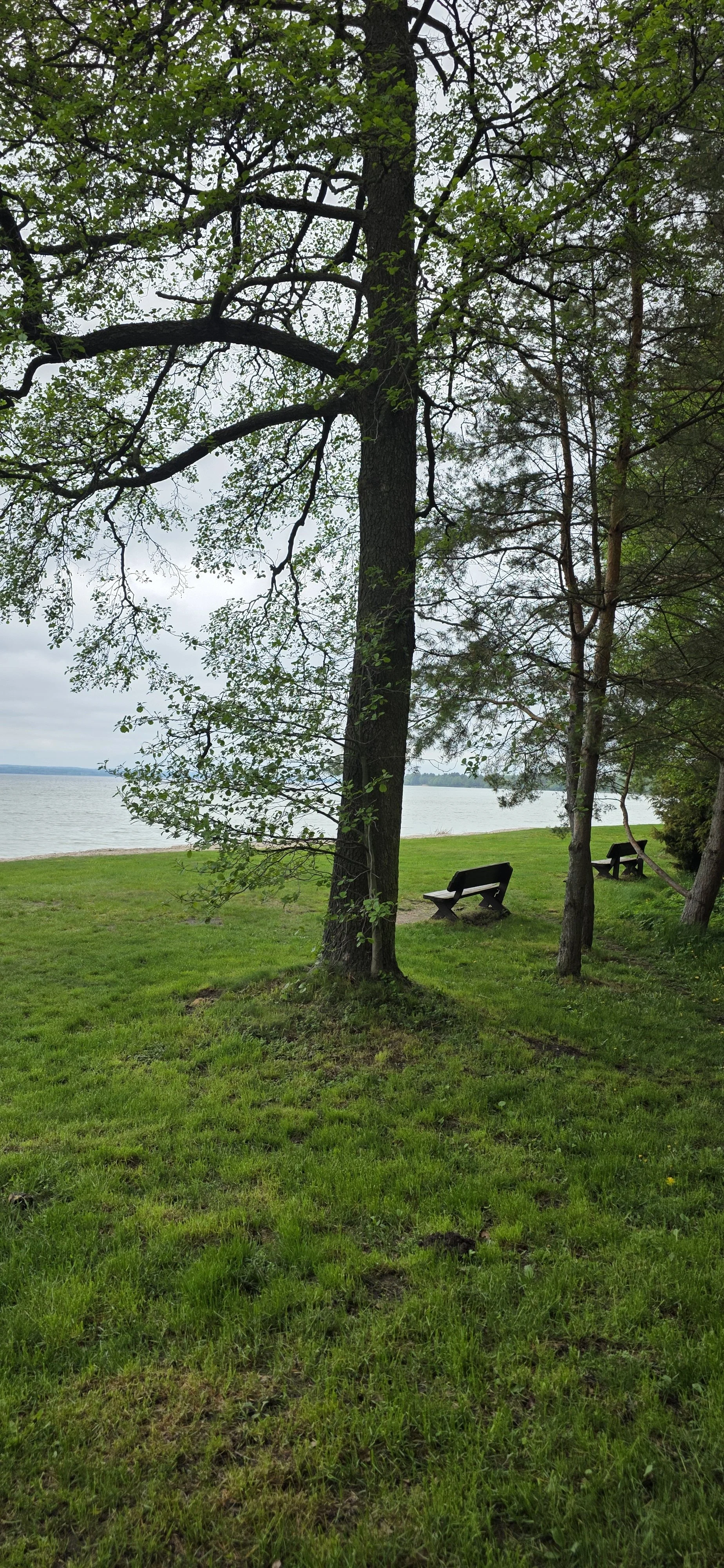 20260517_135425.jpg