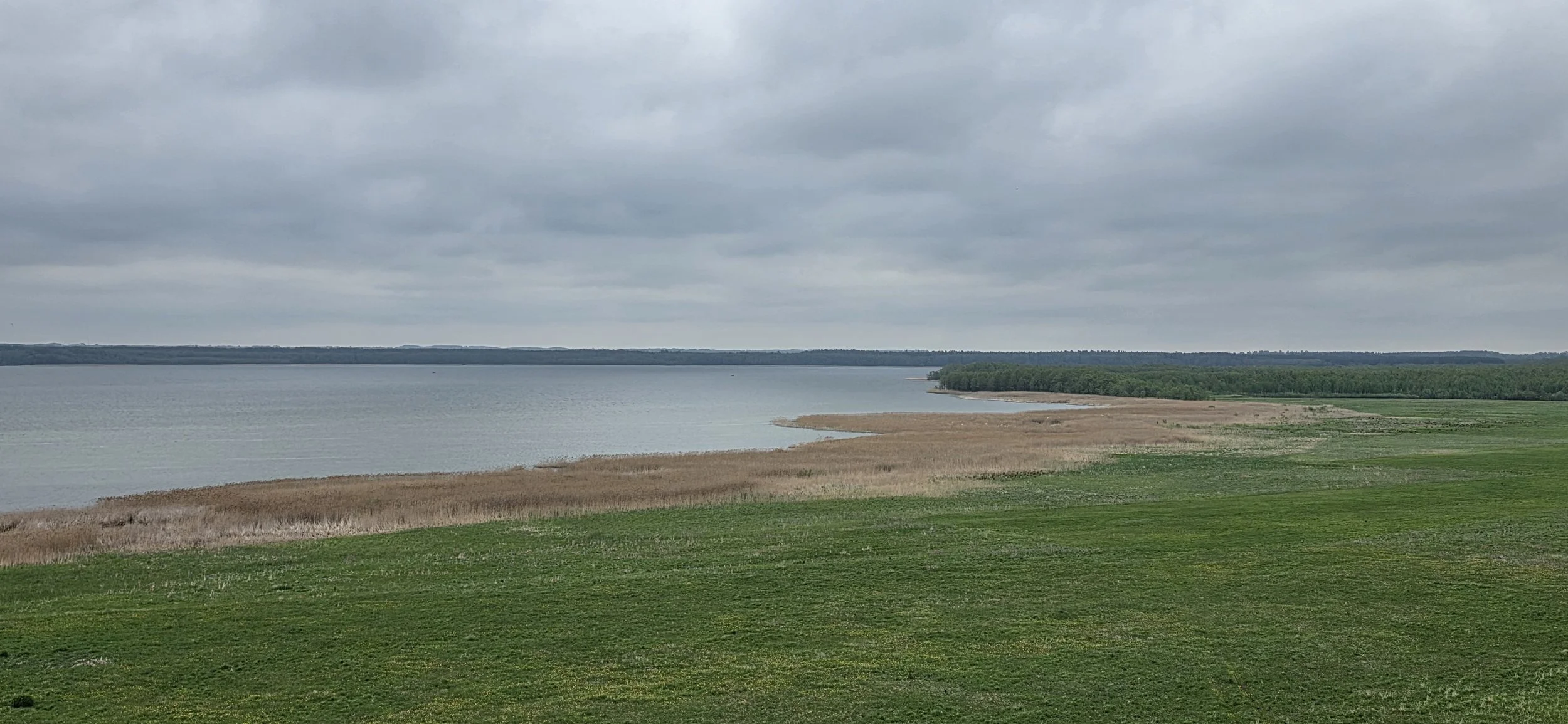20260517_143951.jpg