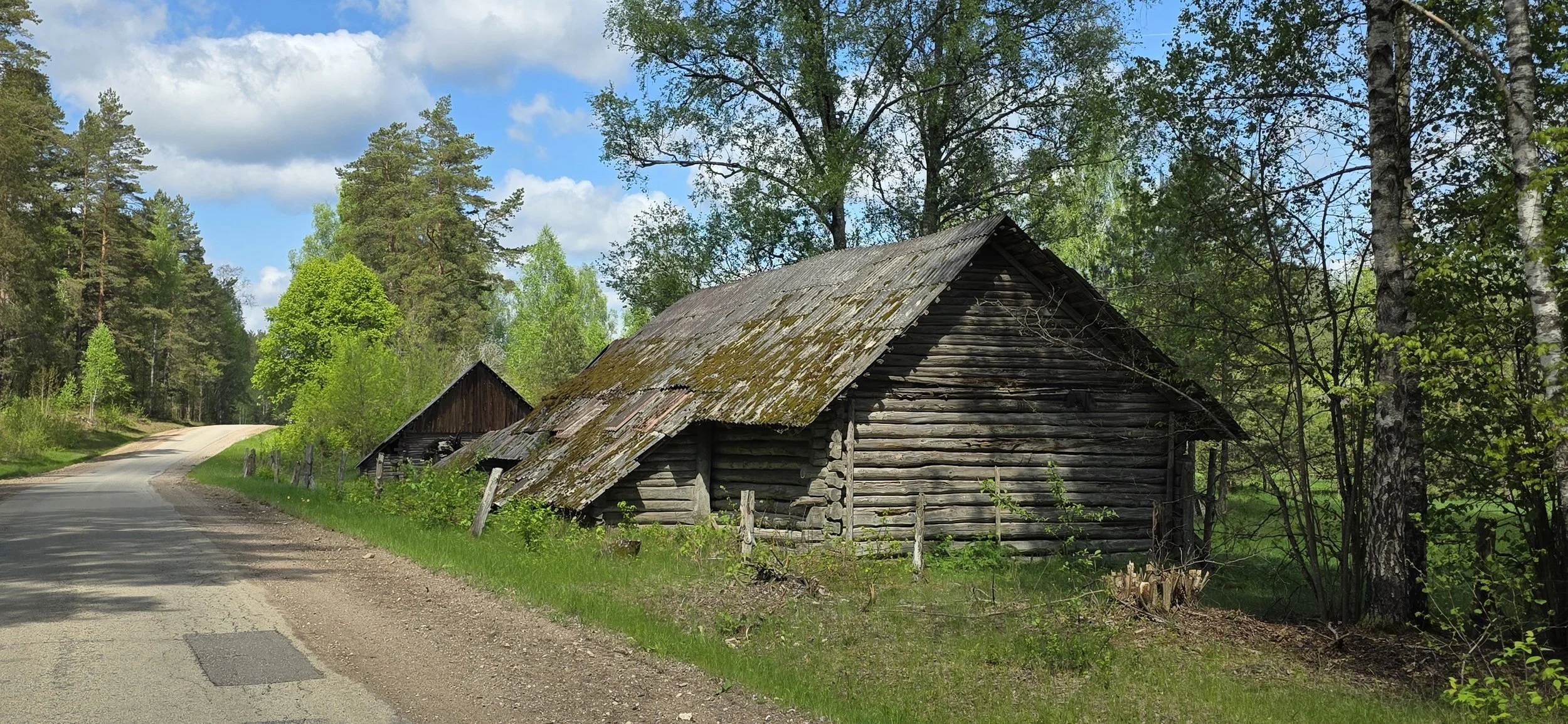 20260519_114701.jpg