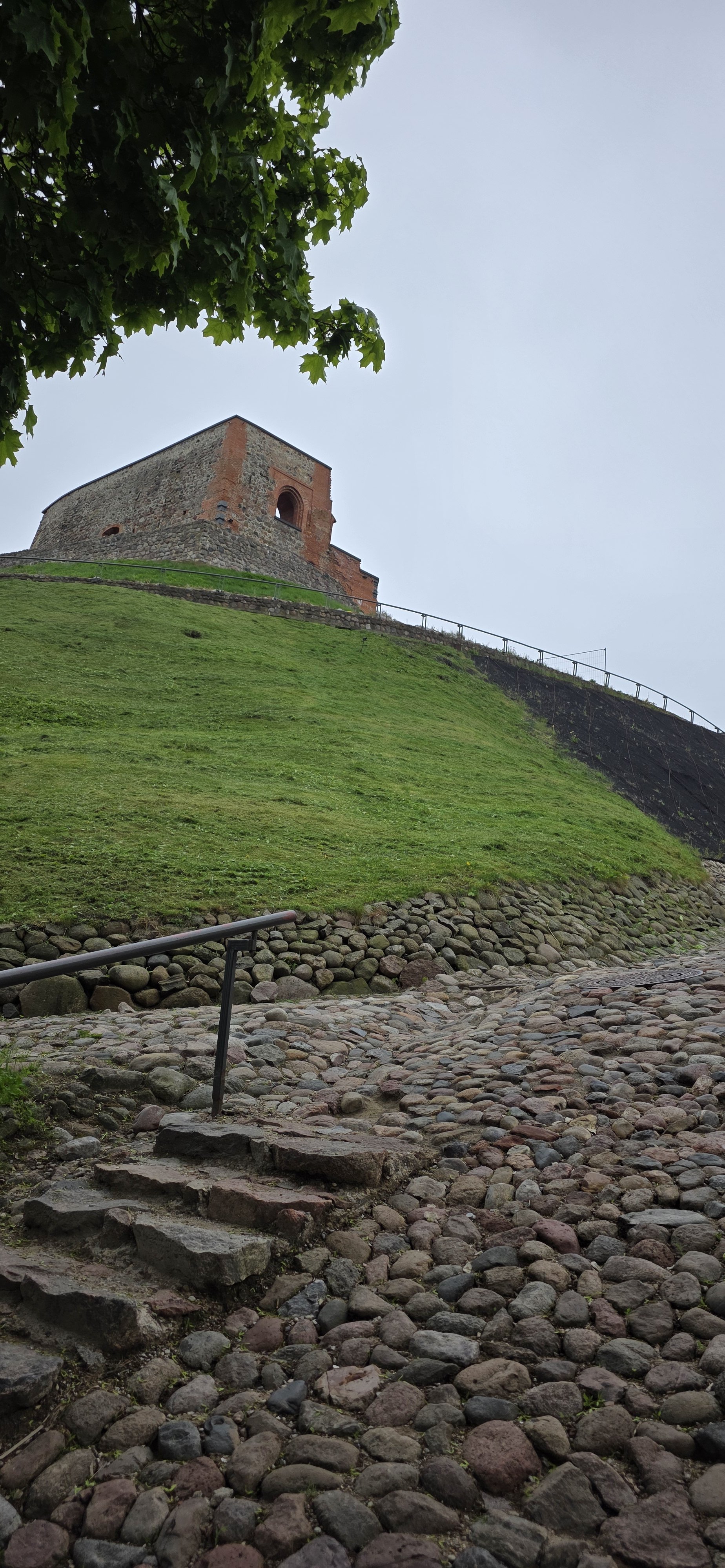 20260521_111143.jpg