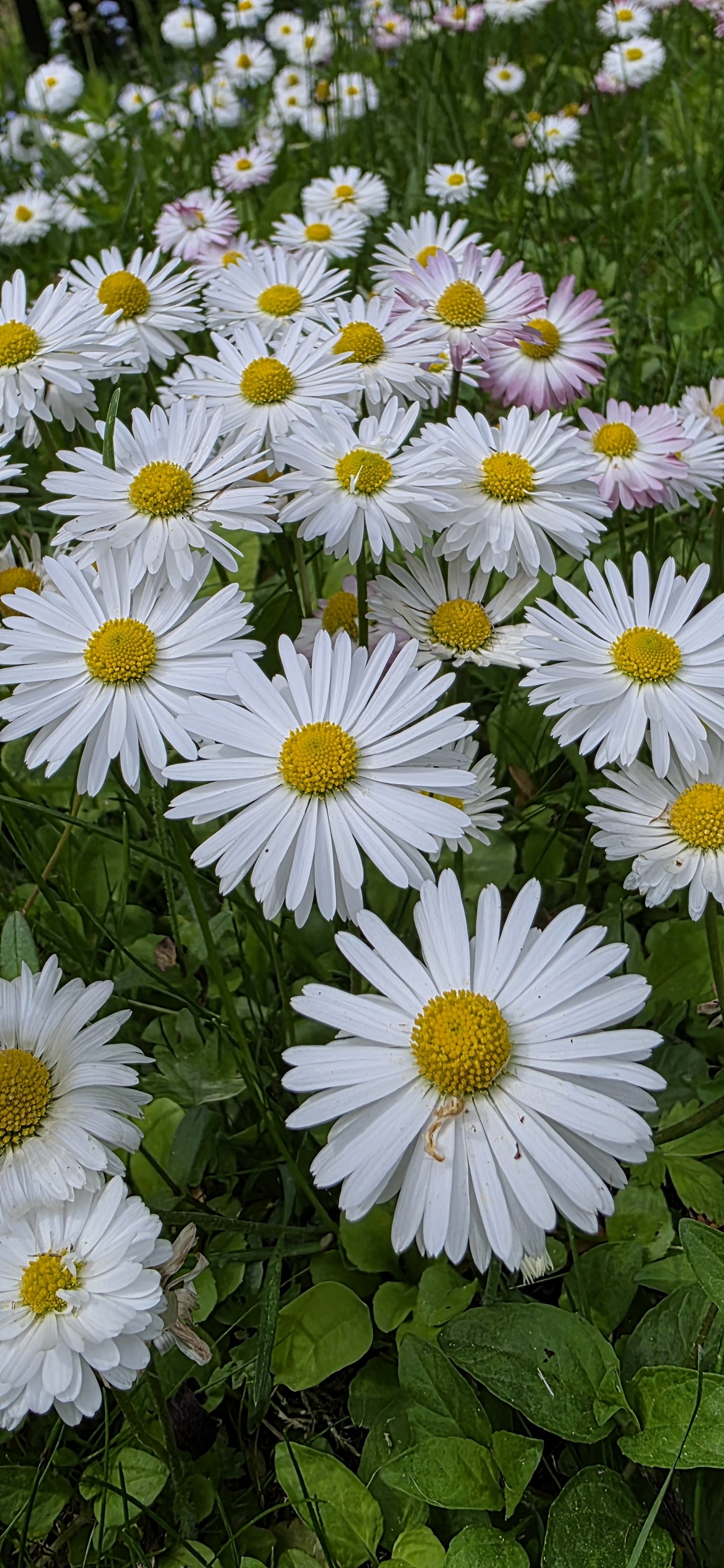 20260525_115541.jpg