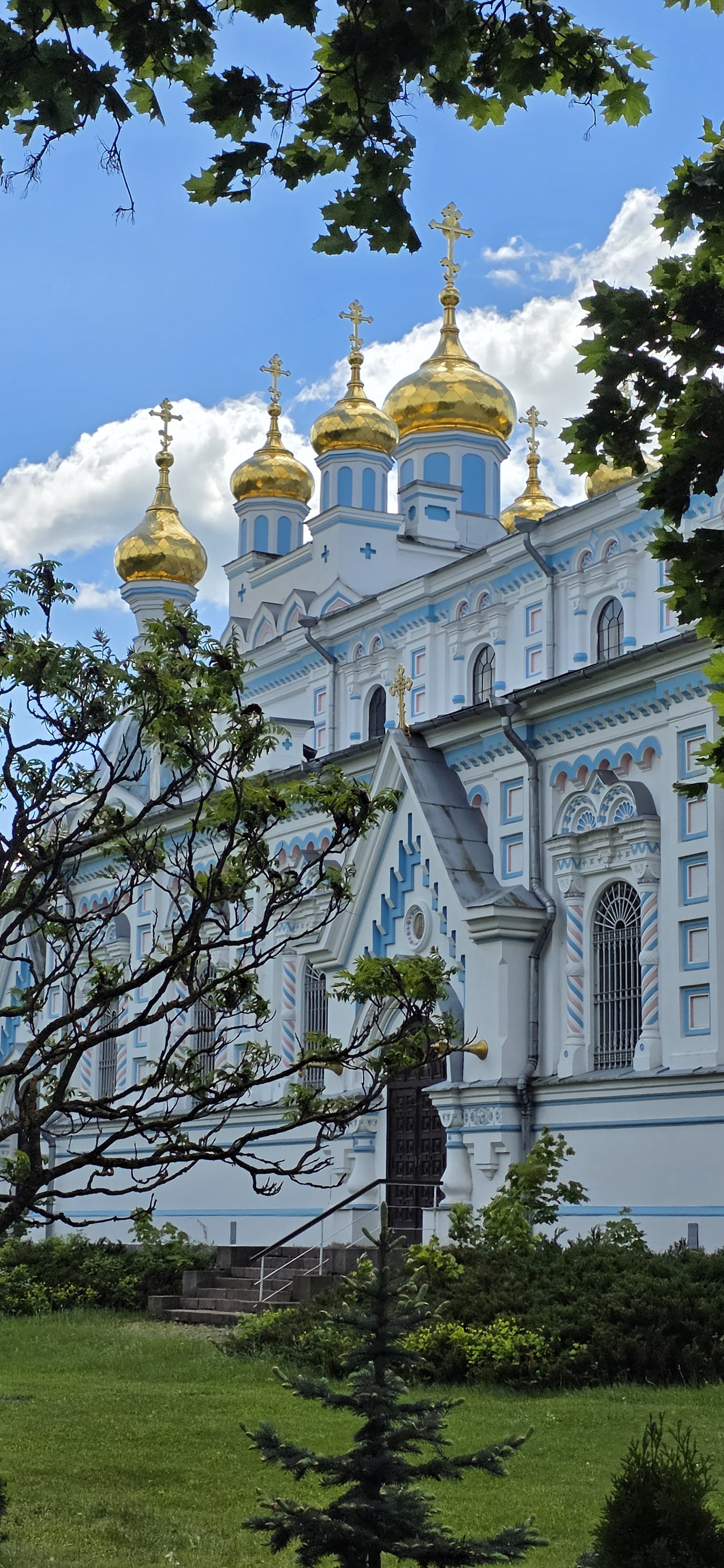 20260526_122101.jpg