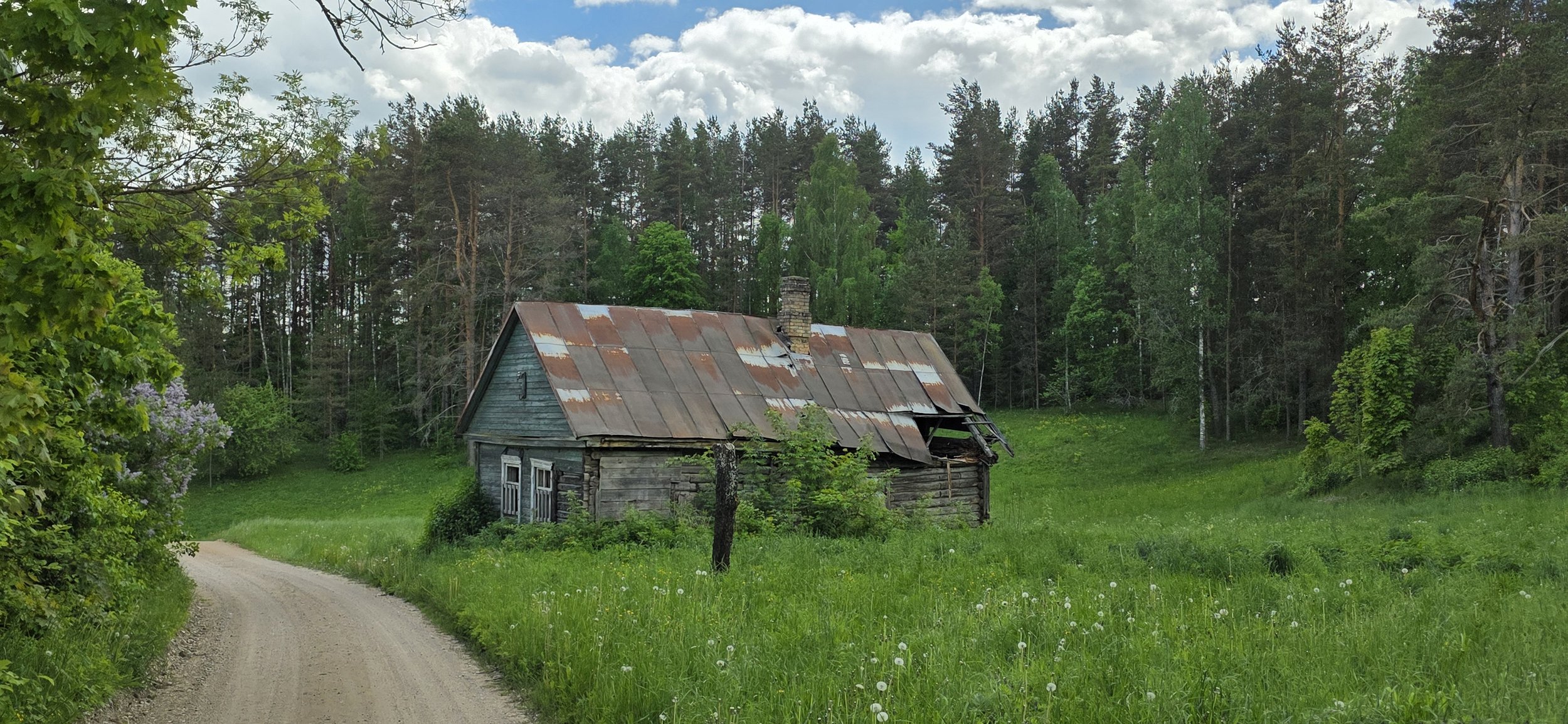 20260526_145906.jpg