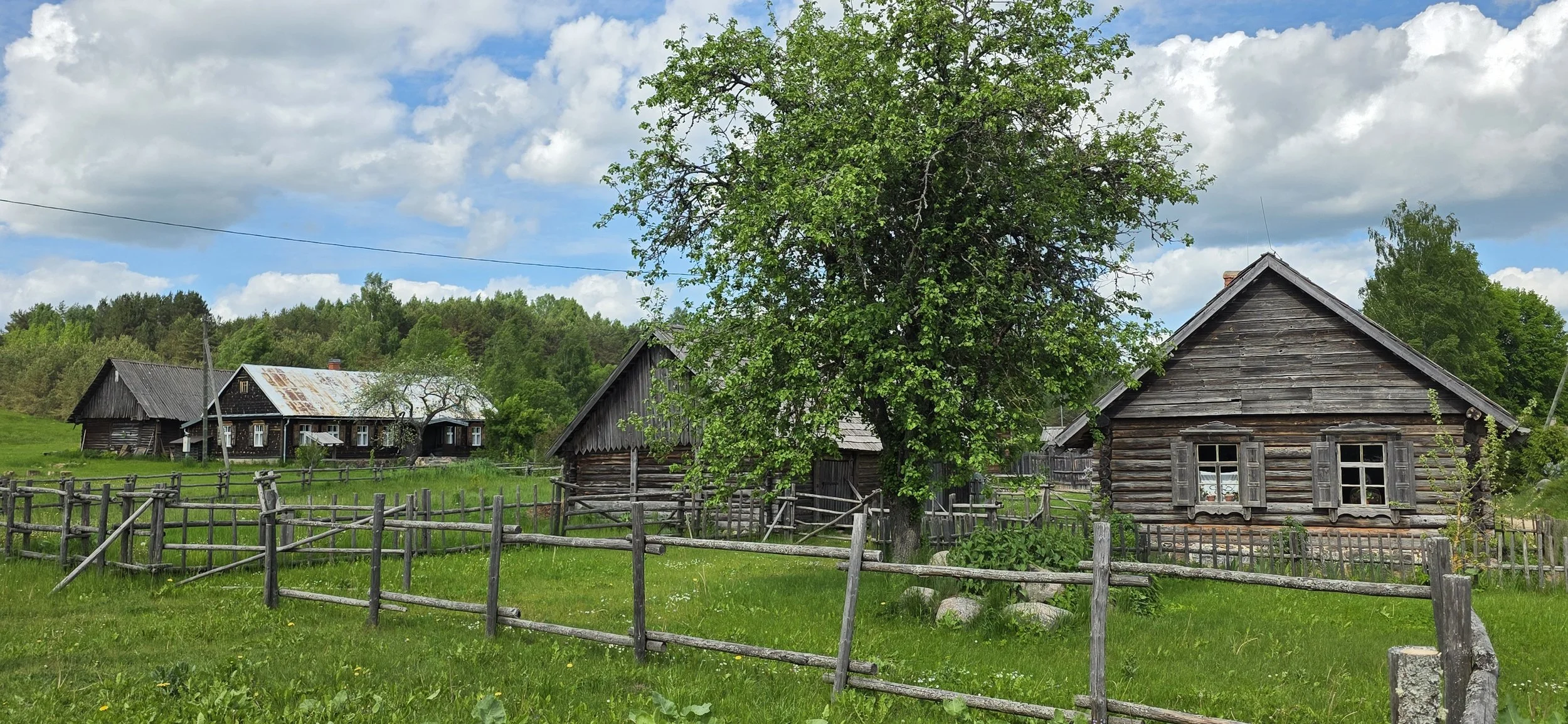 20260526_155000.jpg