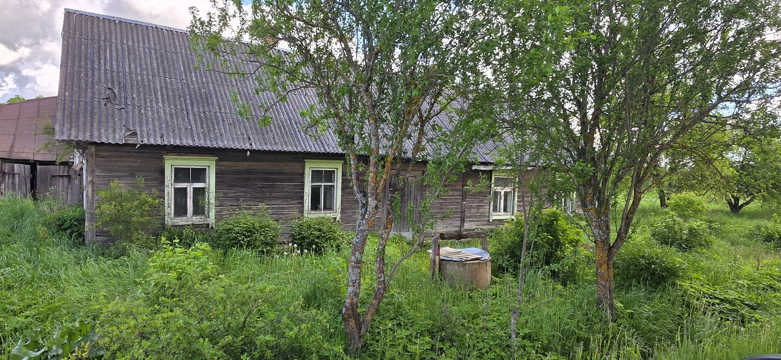 20260527_100415.jpg
